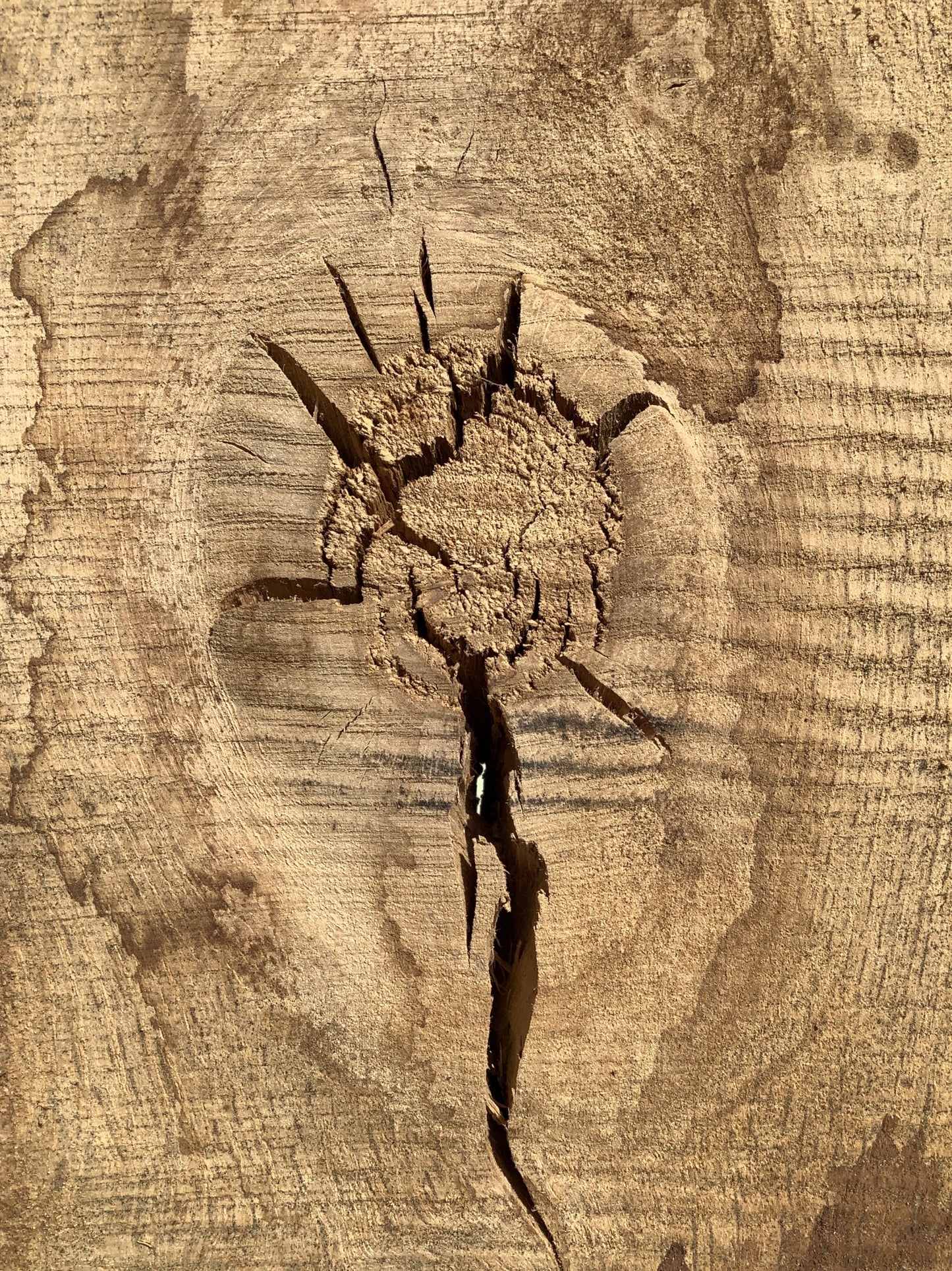 6'8" L Live Waney Edge Rustic Solid Oak Air Dried Hardwood Timber Board
