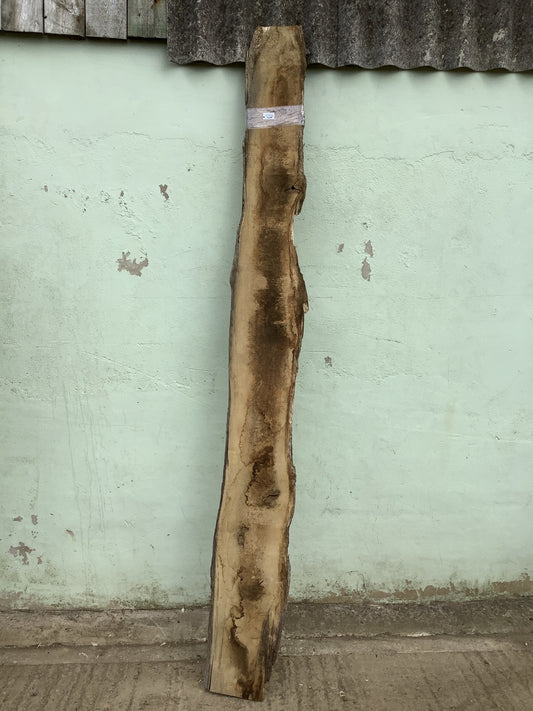7'11" L Live Waney Edge Rustic Solid Oak Air Dried Hardwood Timber Board