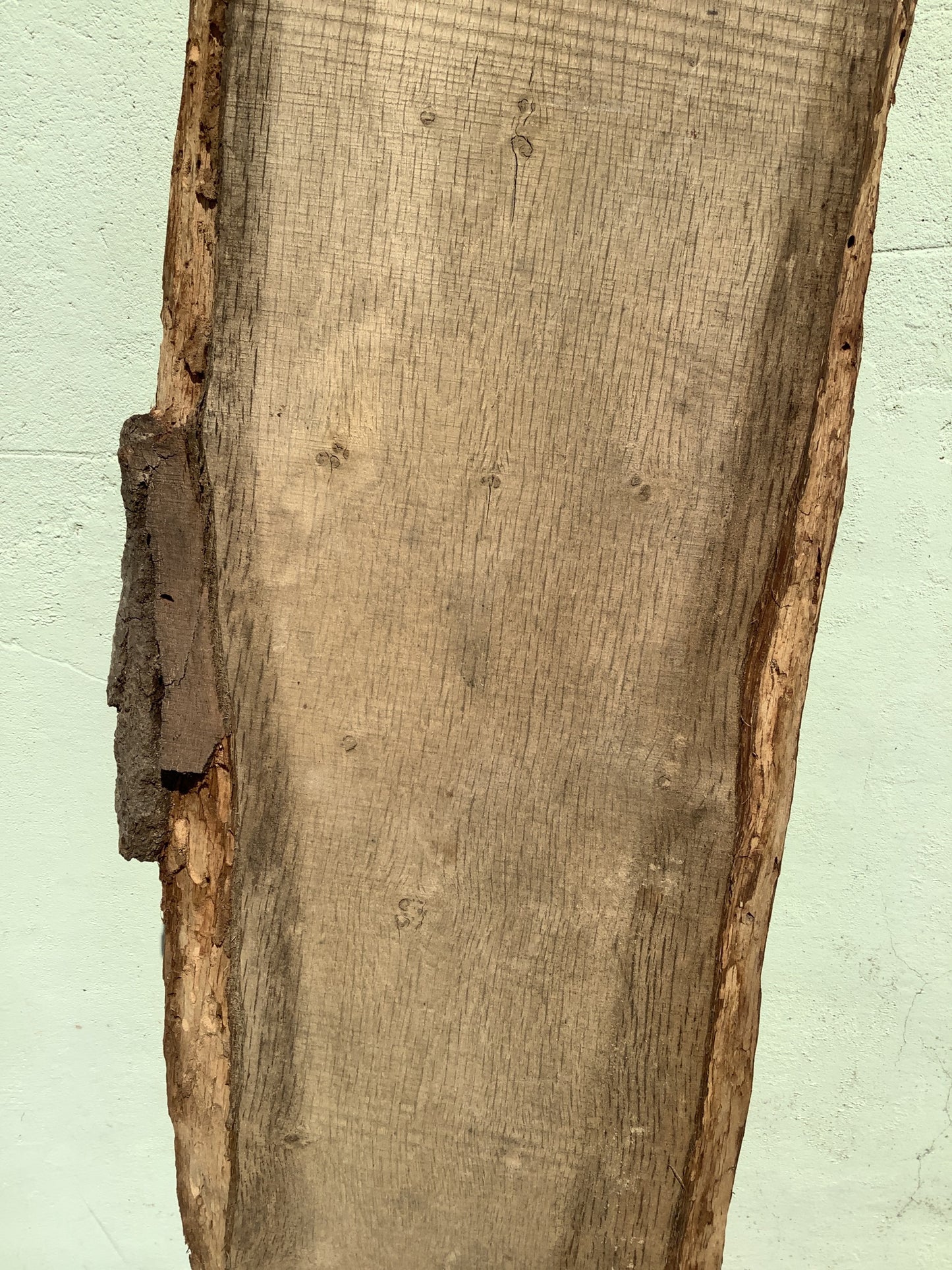6'7" L Live Waney Edge Rustic Solid Oak Air Dried Hardwood Timber Board