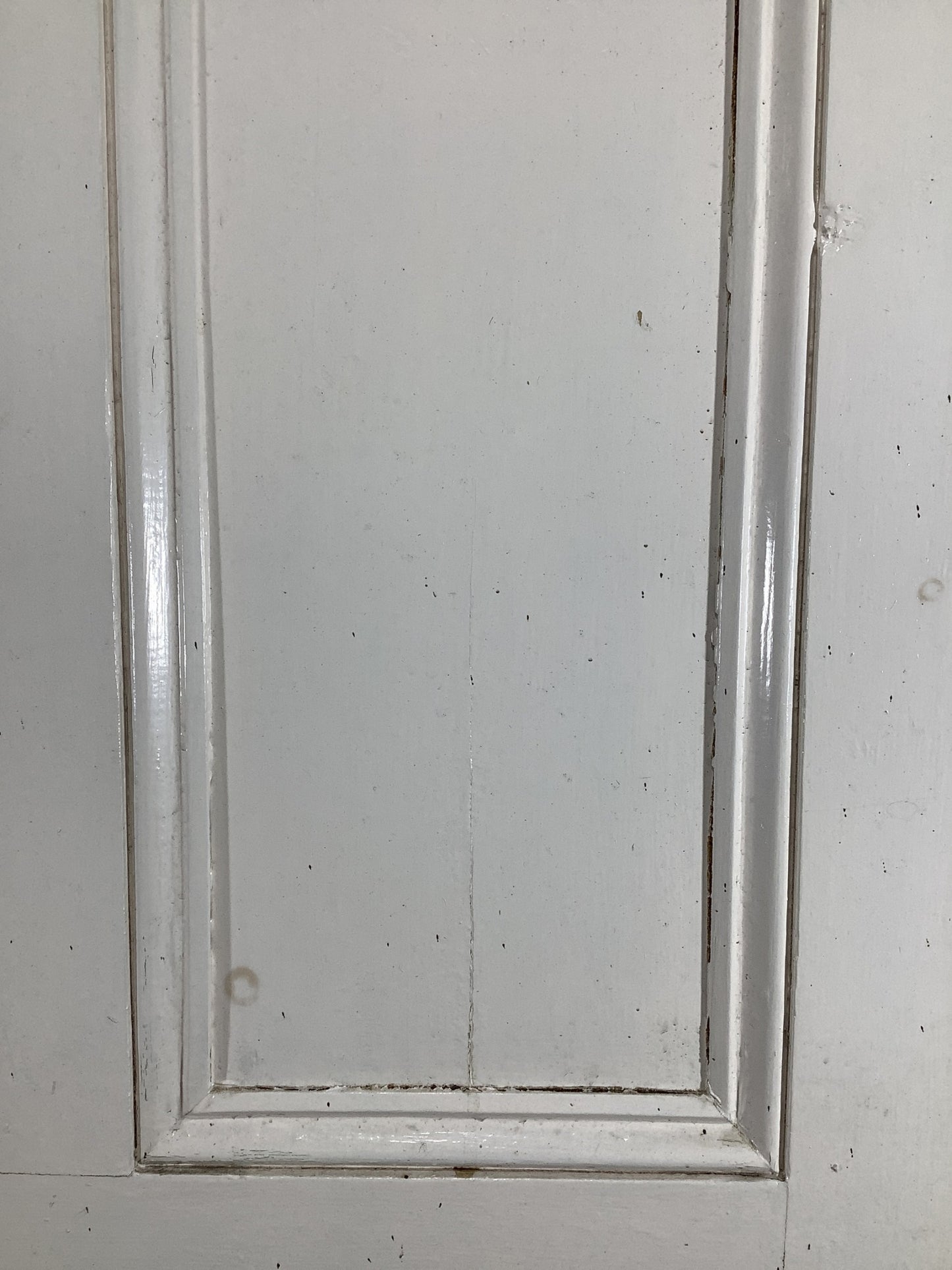 11th Pic Victorian Internal Painted Pine Reclaimed Door