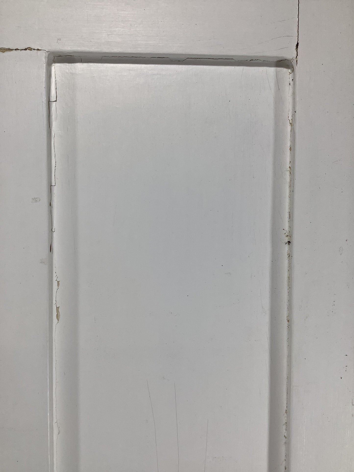 11th Pic Victorian Internal Painted Pine Reclaimed Door