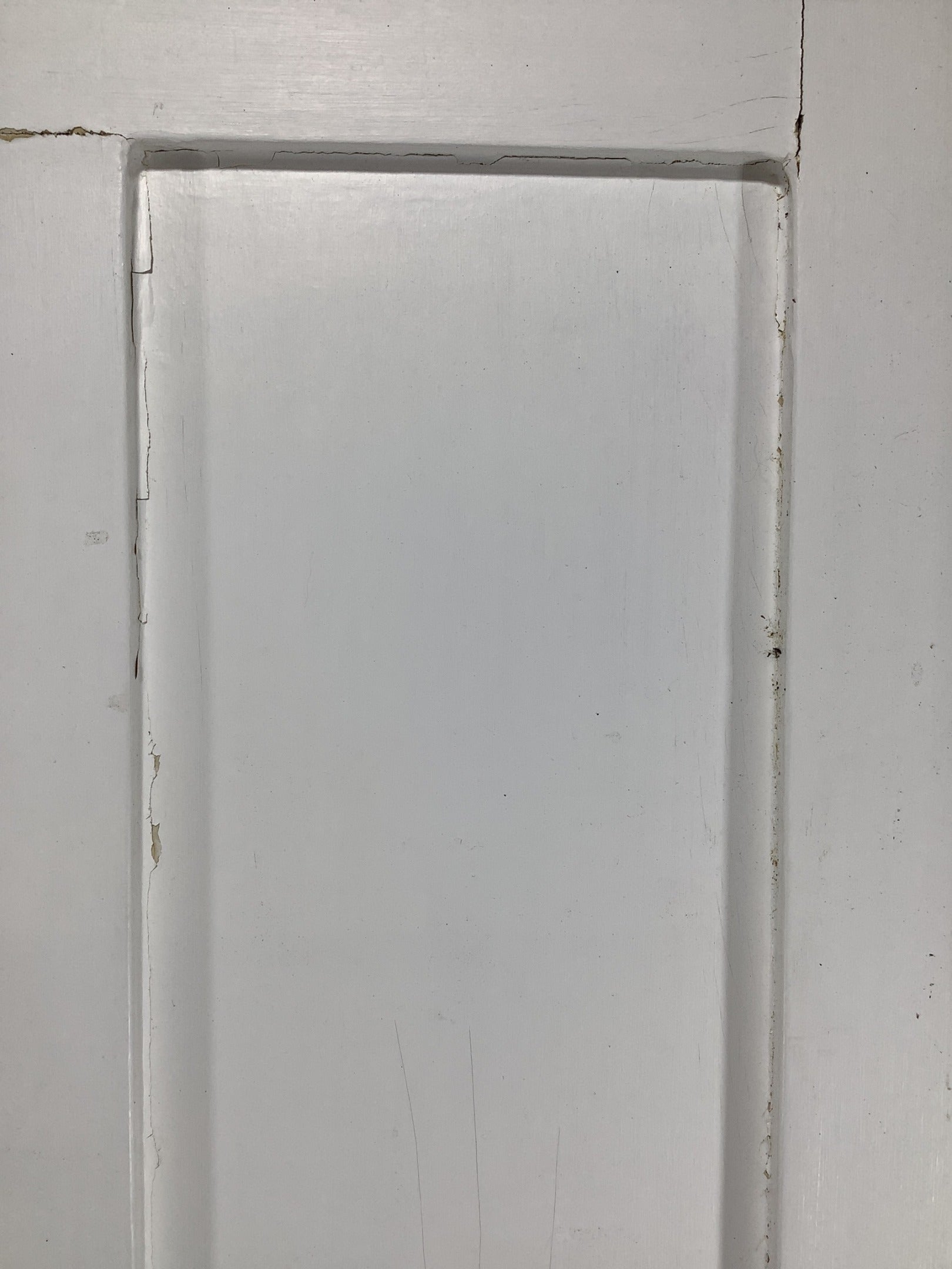 11th Pic Victorian Internal Painted  Pine Reclaimed Door