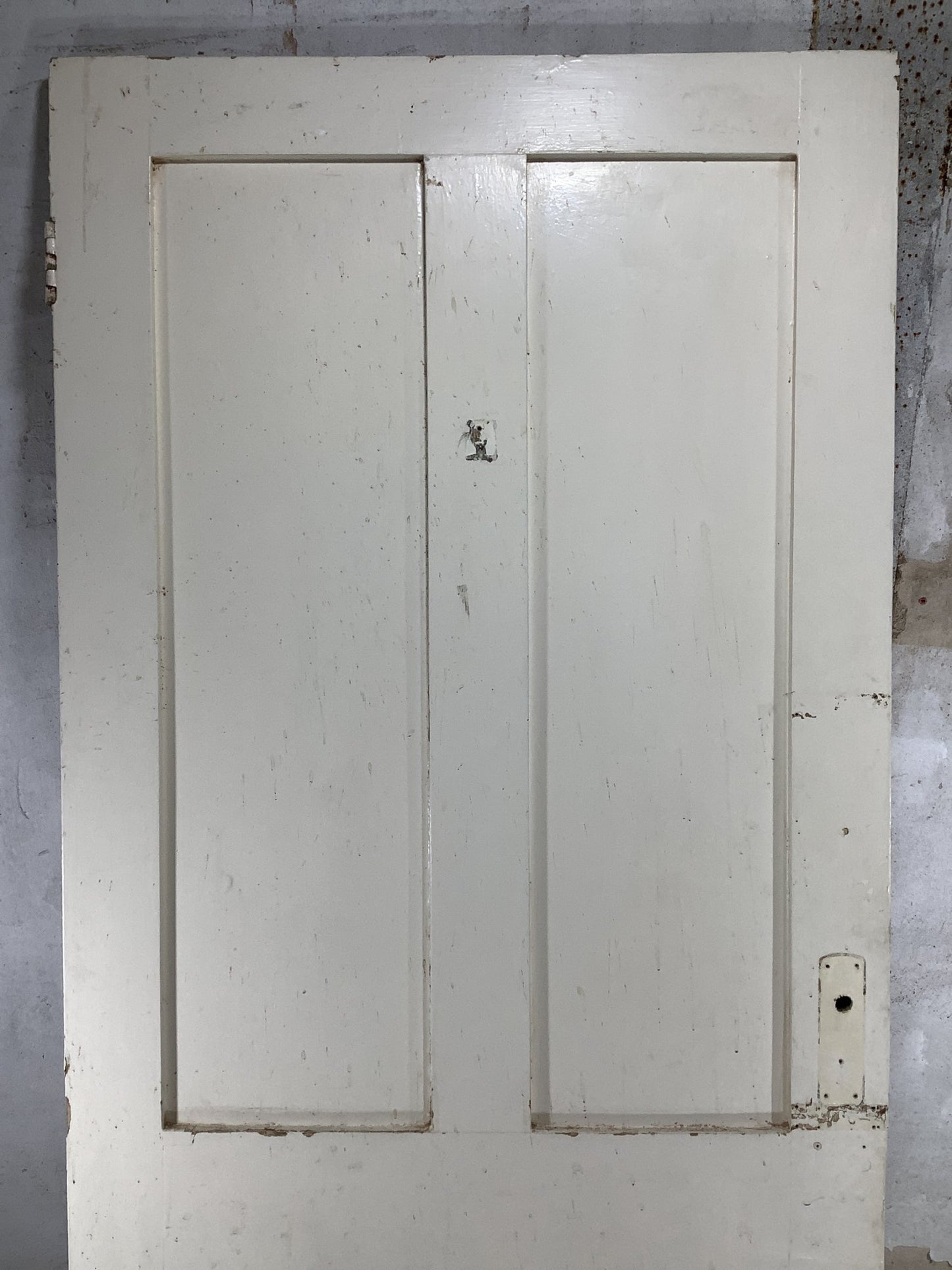 8th Pic Victorian Internal Painted Pine Reclaimed Door