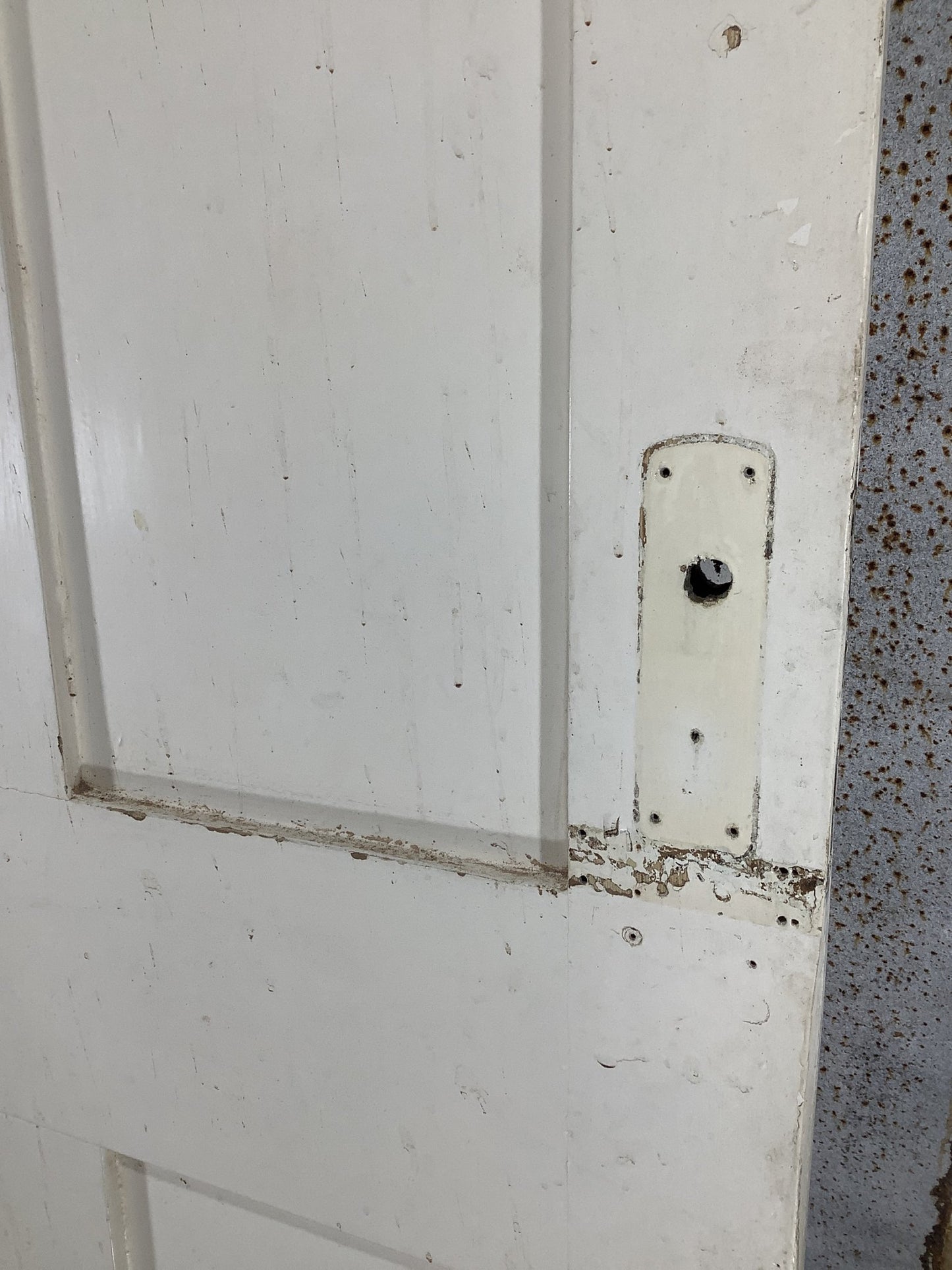 10th Pic Victorian Internal Painted Pine Reclaimed Door