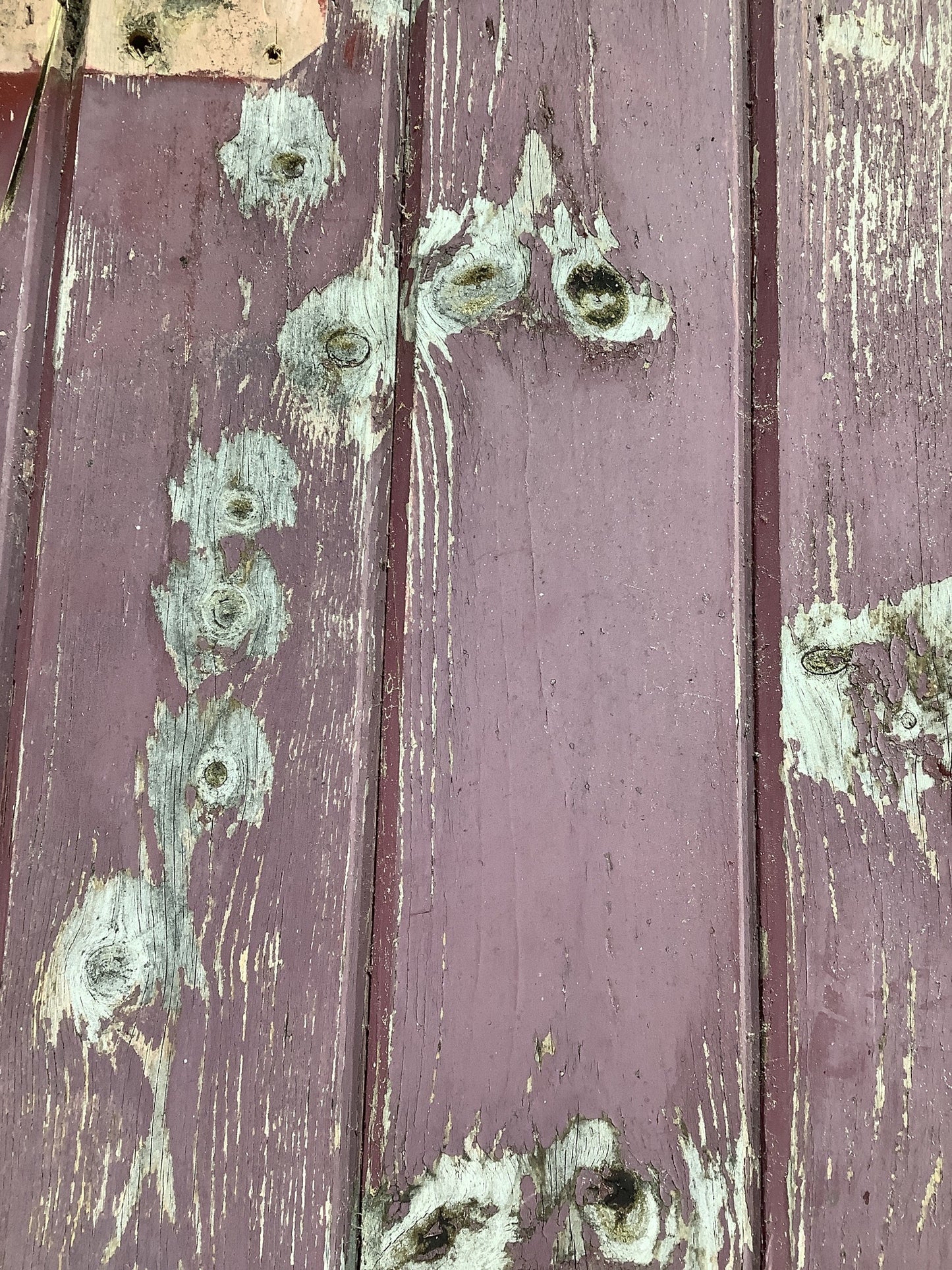 6th Pic Old Painted Pine Reclaimed Door