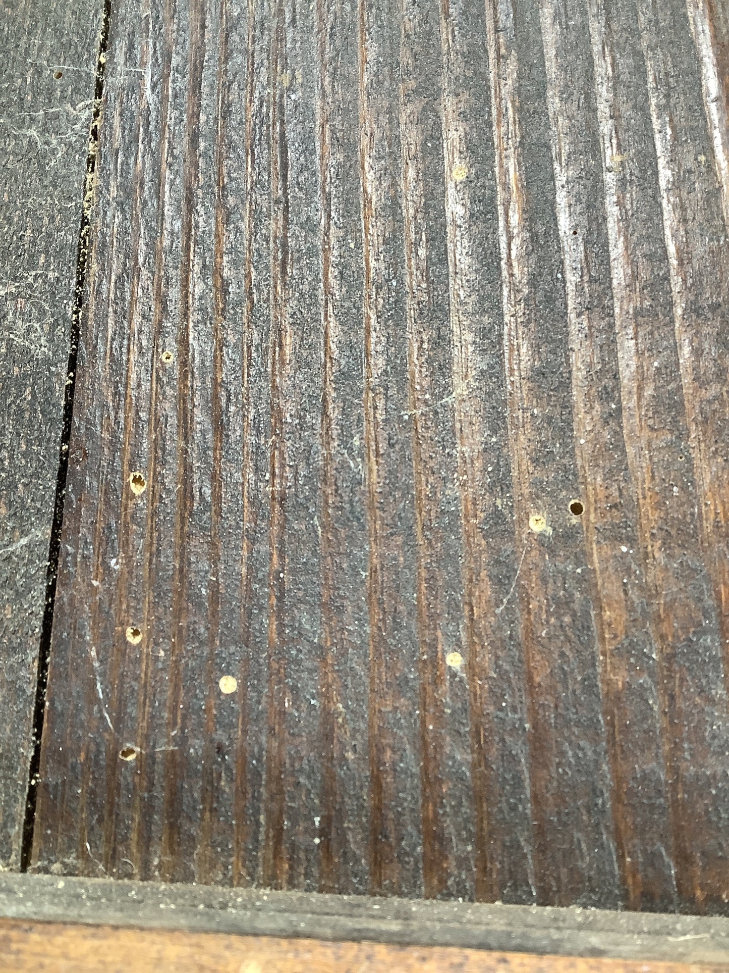 11th Picture showing treated woodworm