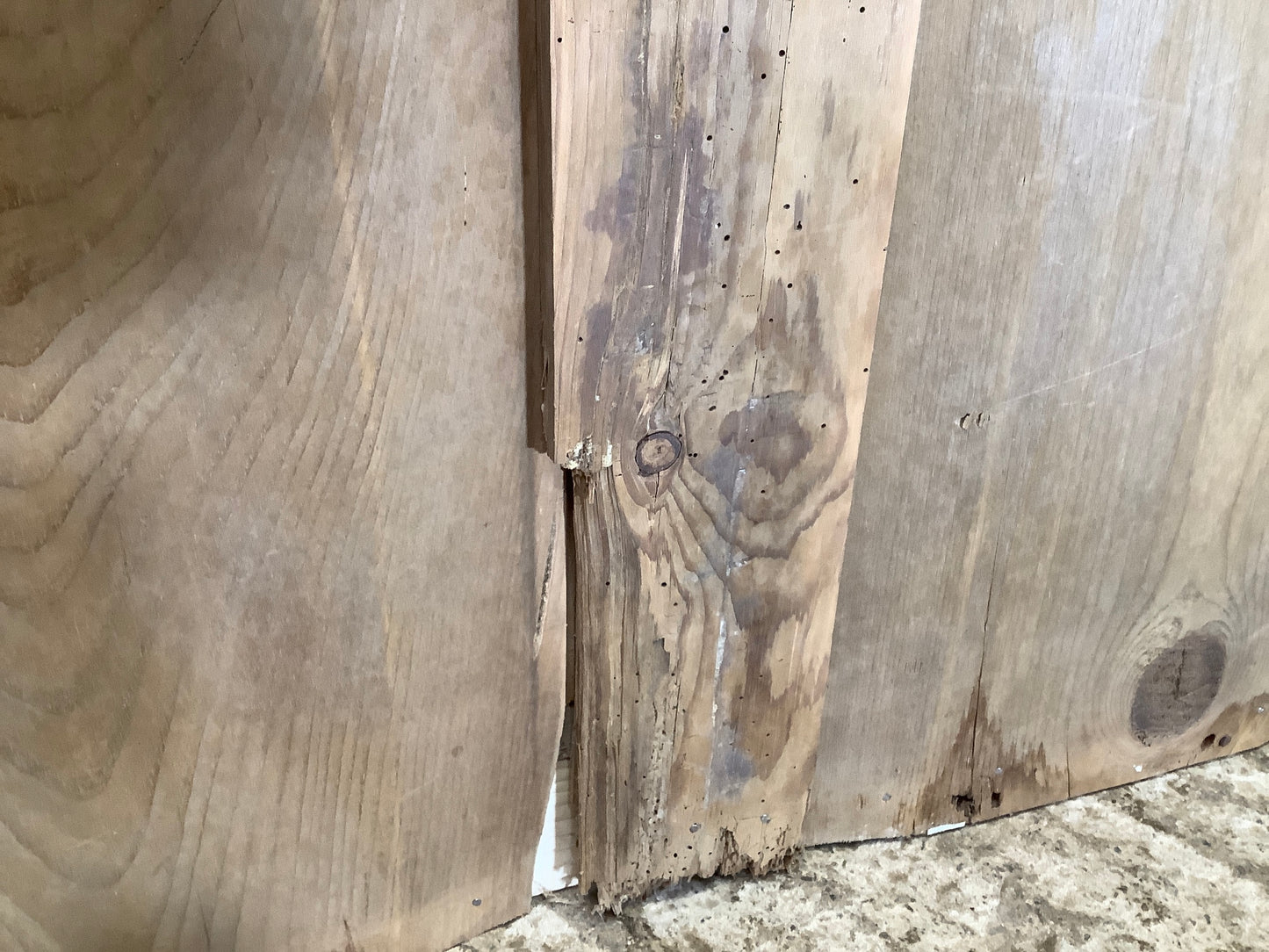 Wood worm holes