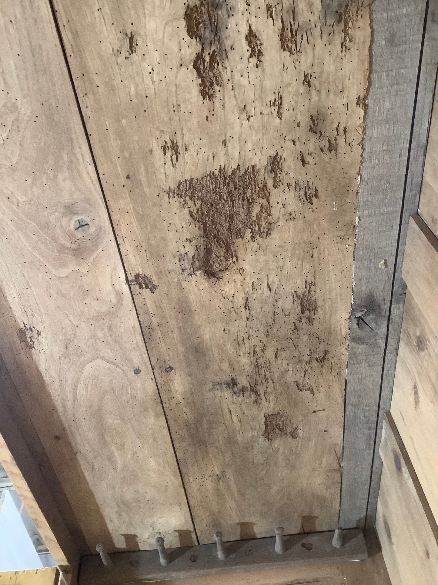Treated Woodworm damage underneath inside top