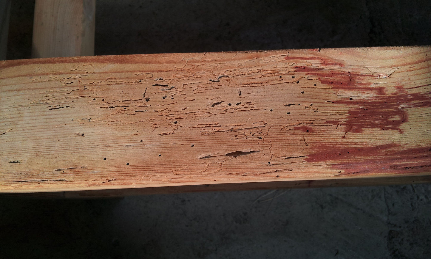 Reclaimed Butcher's Block and Pine Stand