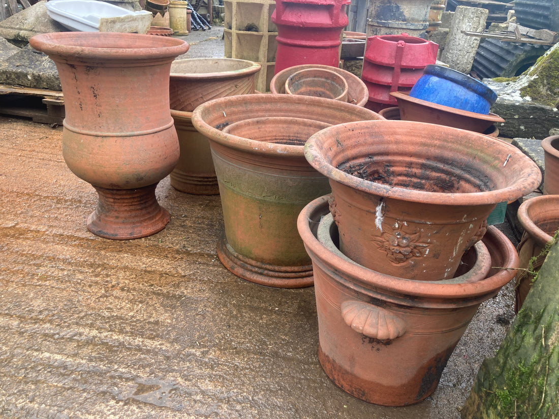 Mixed Terracotta Pots