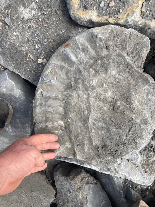 Blog: Why Blue Lias Stone Still Matters
