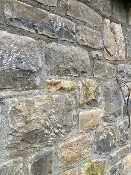 High Quality White & Light Grey Lias Limestone Mendip Building Stone