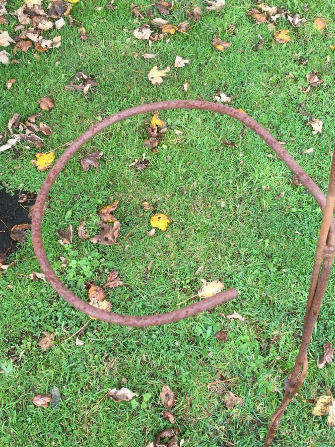 Interesting 5' Tall Rusty Steel Garden Art Spring Sunflower Flower Plant Support