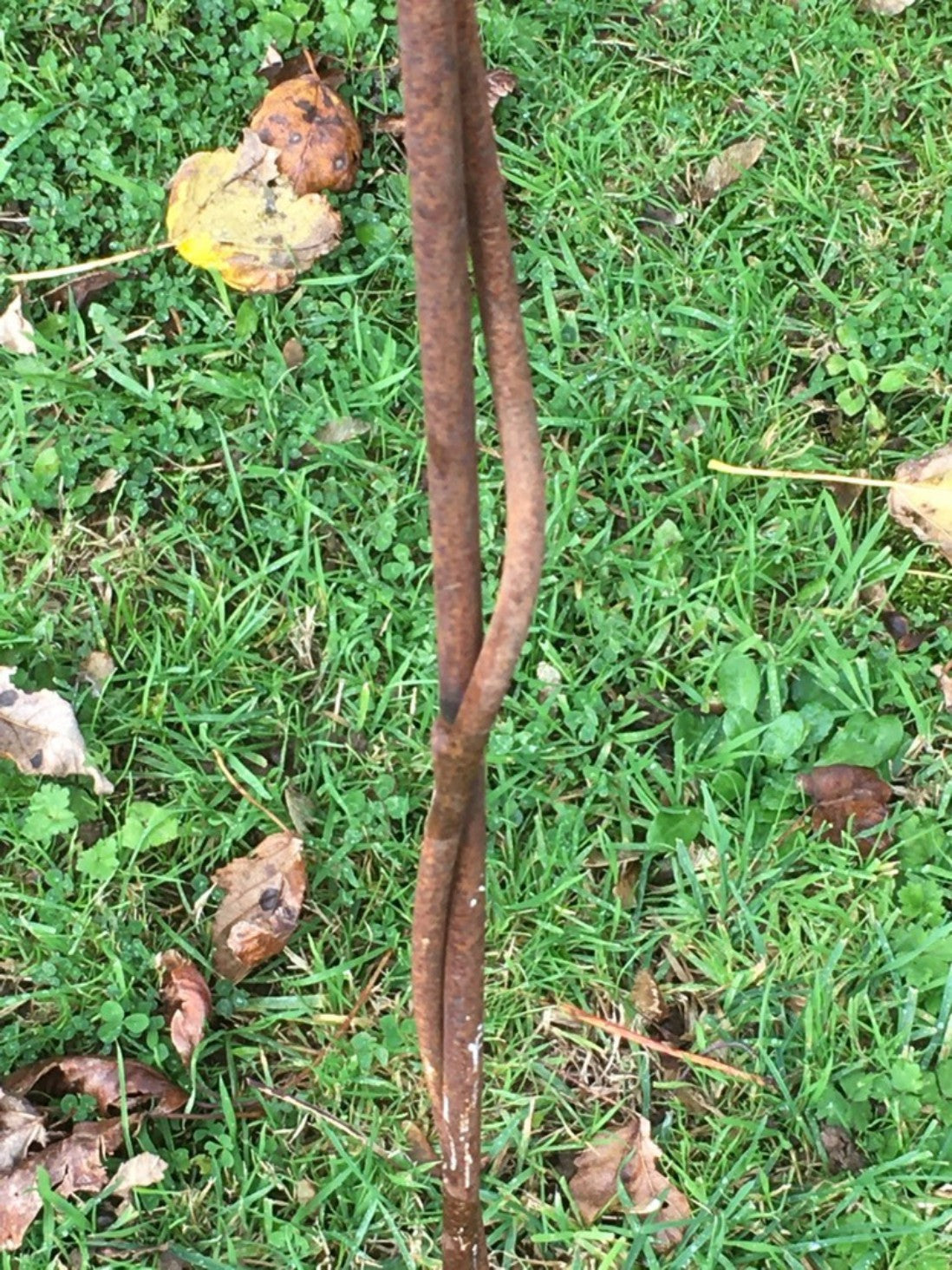 Interesting 5' Tall Rusty Steel Garden Art Spring Sunflower Flower Plant Support