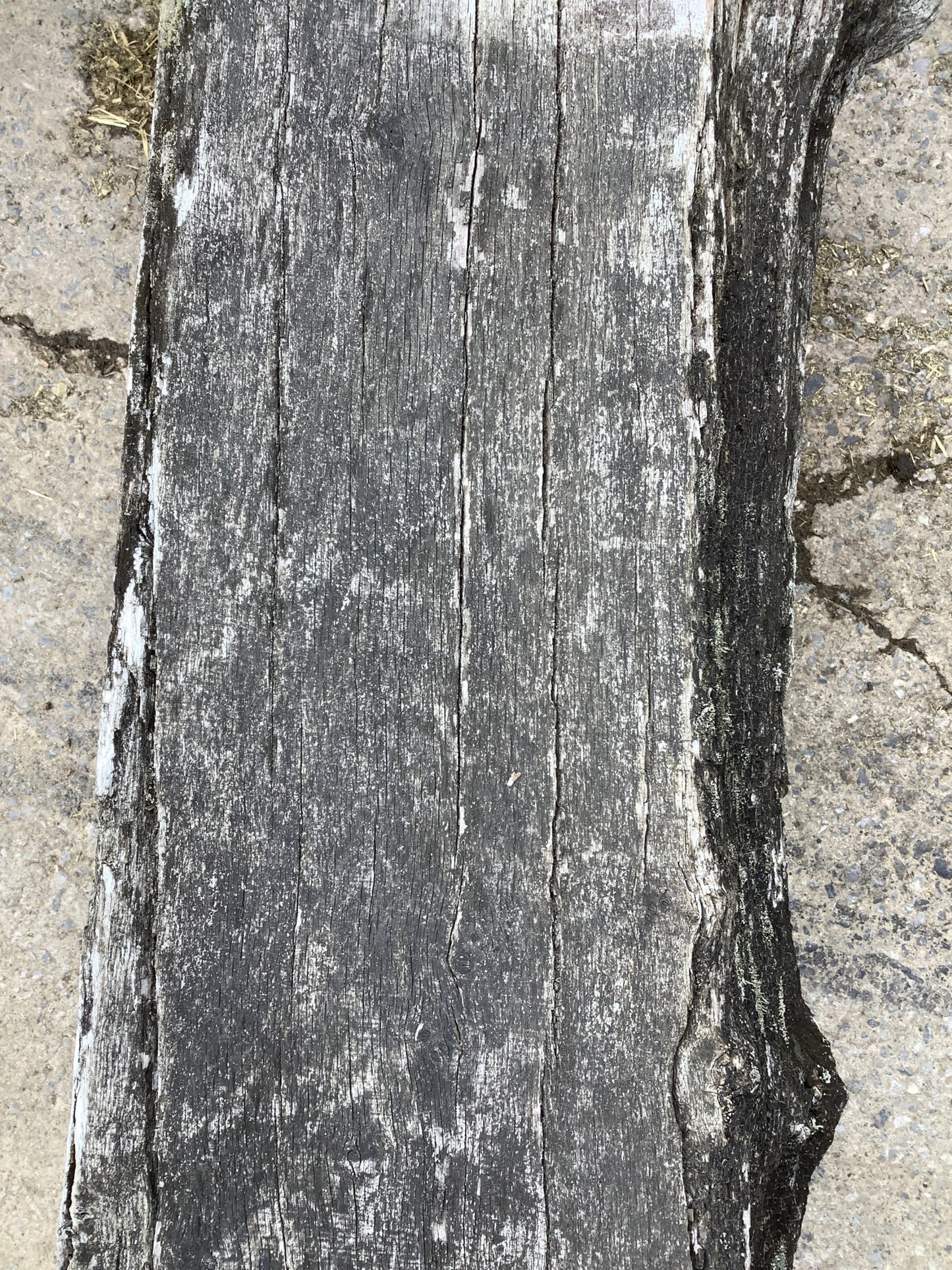 11'9" Long Heavy Reclaimed Old Oak Wooden Hardwood Beam