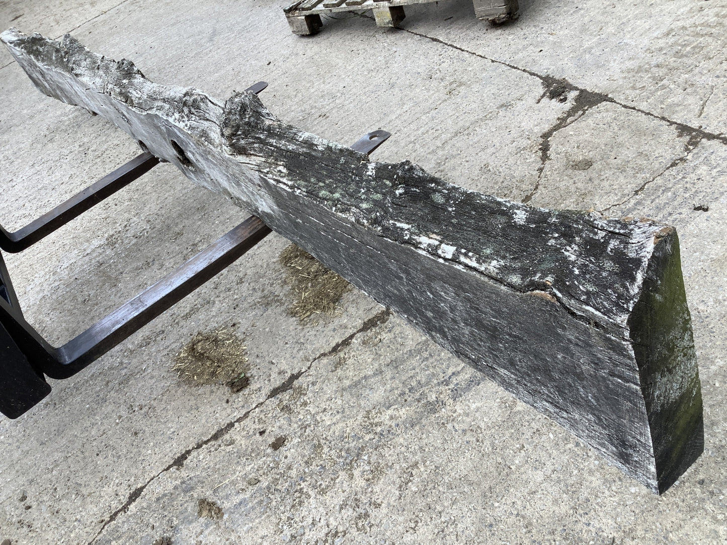 11'9" Long Heavy Reclaimed Old Oak Wooden Hardwood Beam