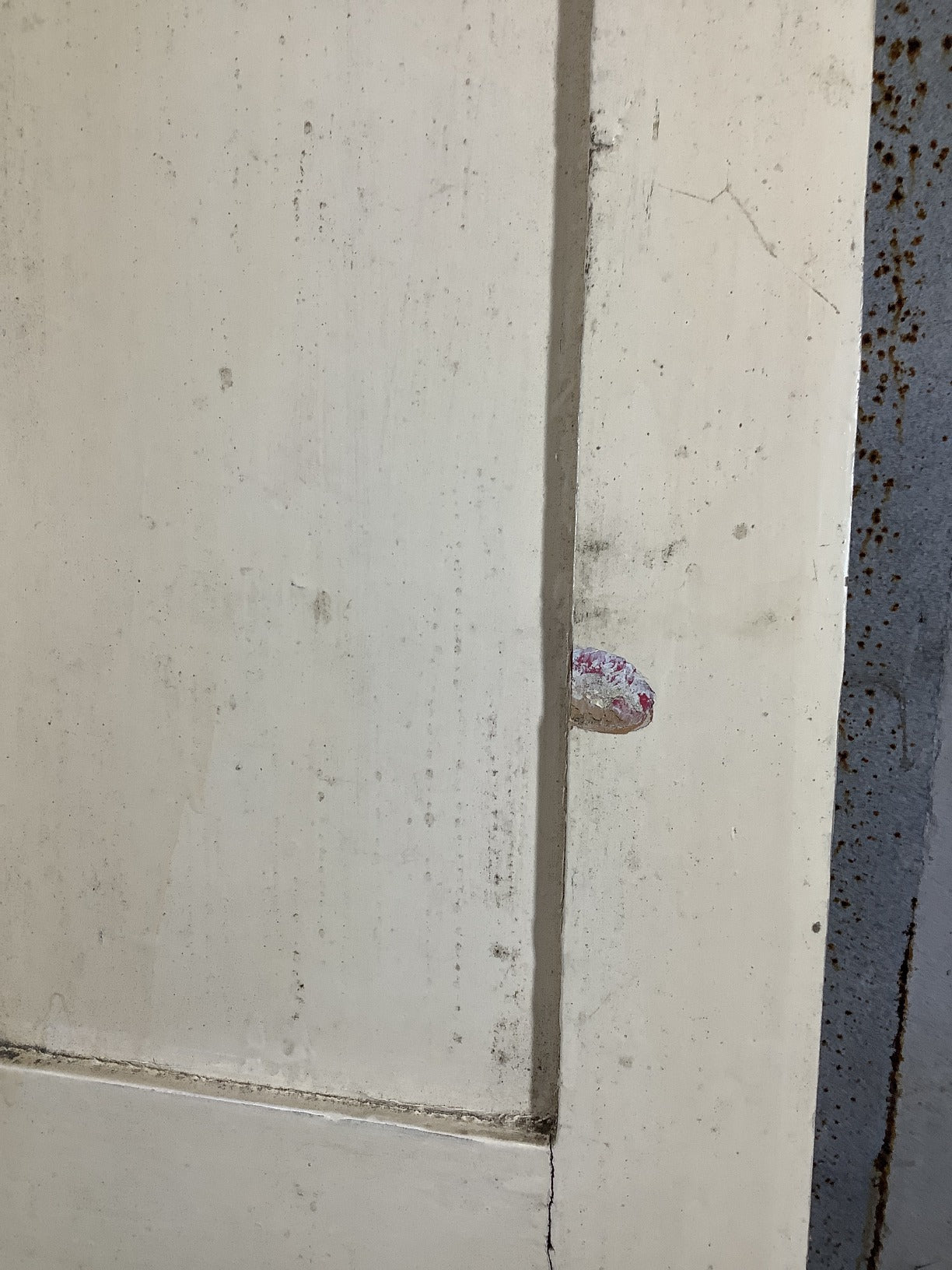 27 1/2"X73 3/8" Victorian Internal Painted Pine Four Panel Door 2over2 Old