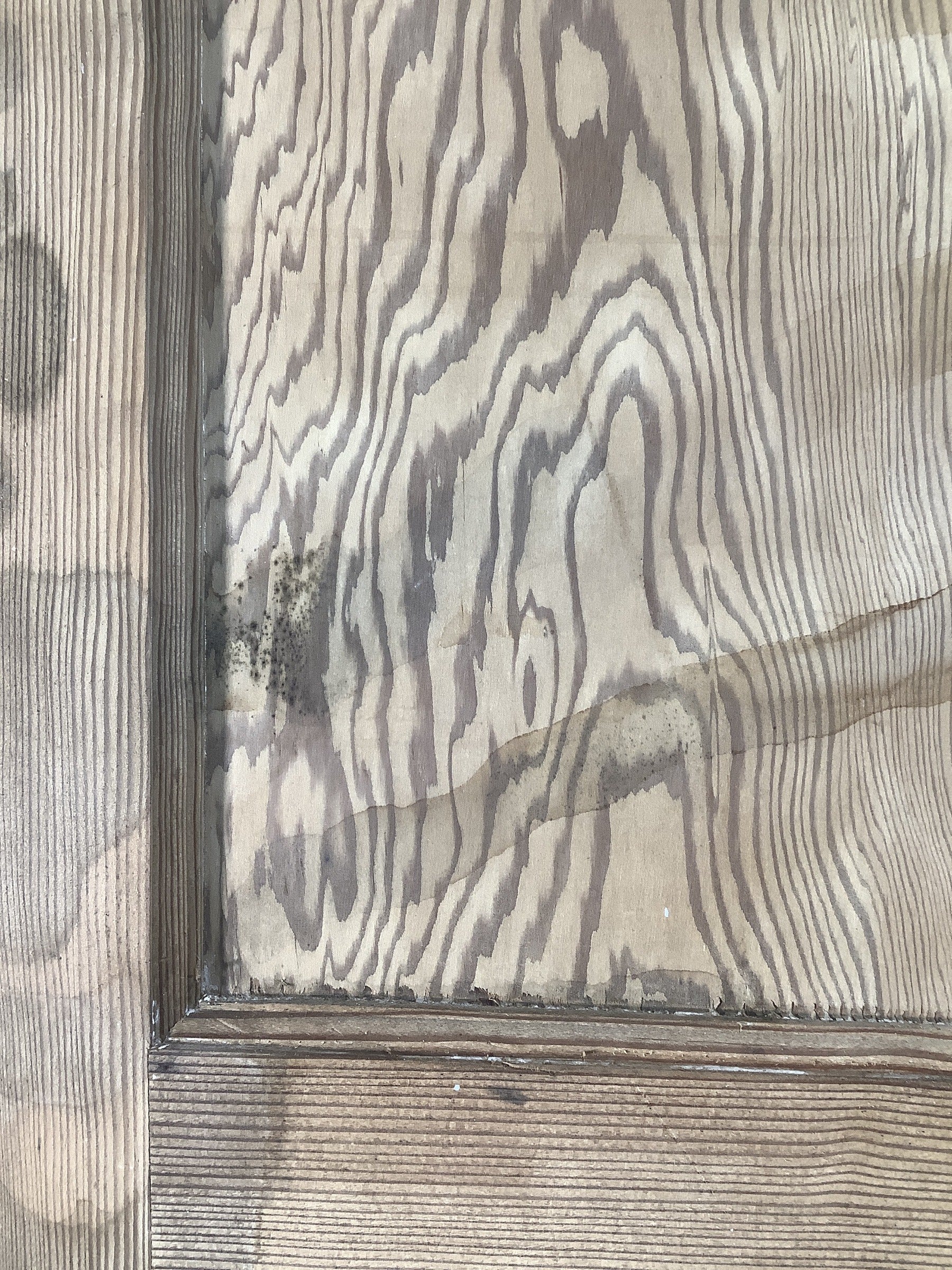 10th Pic 1930s Internal Stripped  Pitch Pine Reclaimed Door