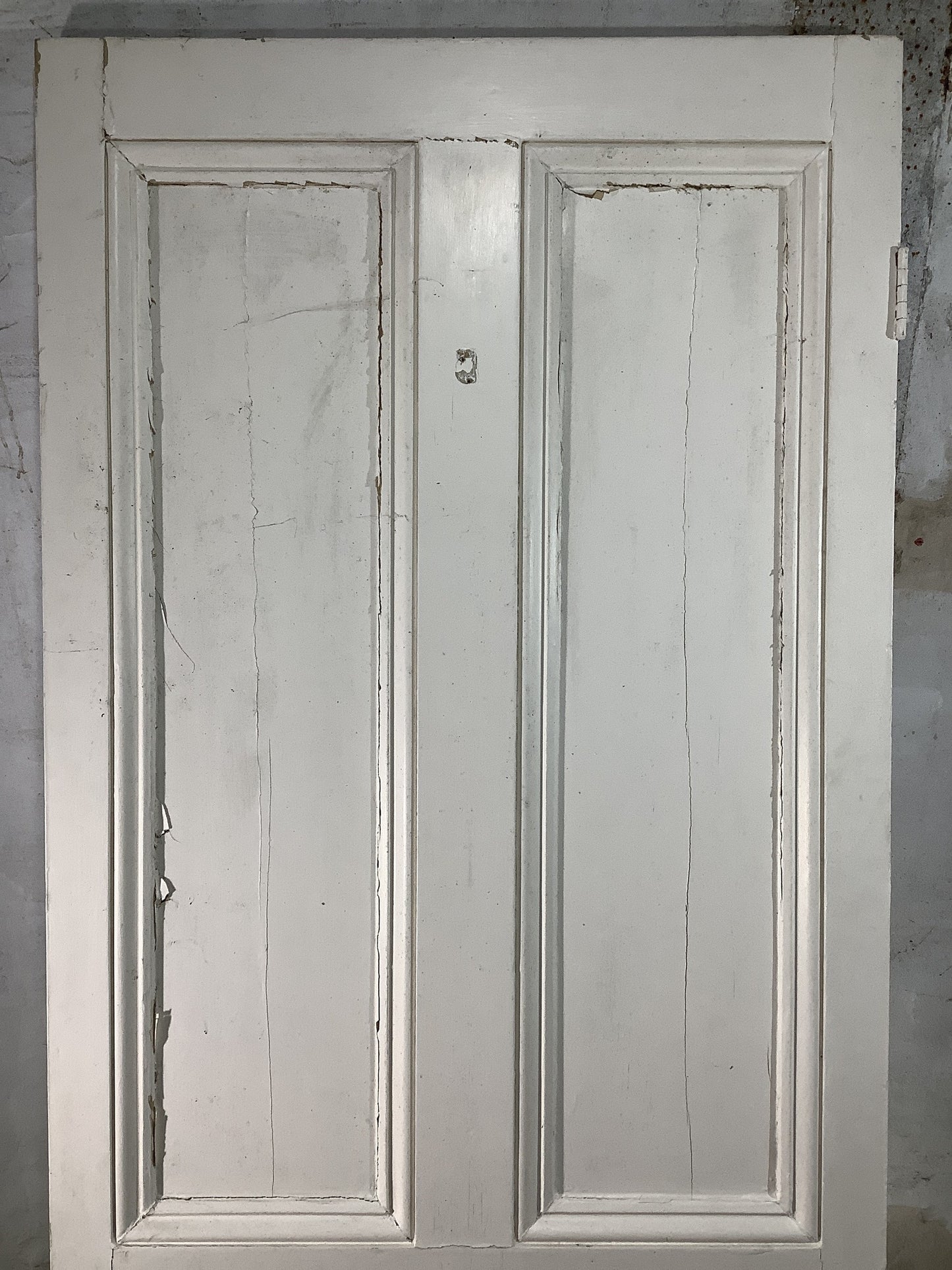 8th Pic Victorian Internal Painted  Pine Reclaimed Door