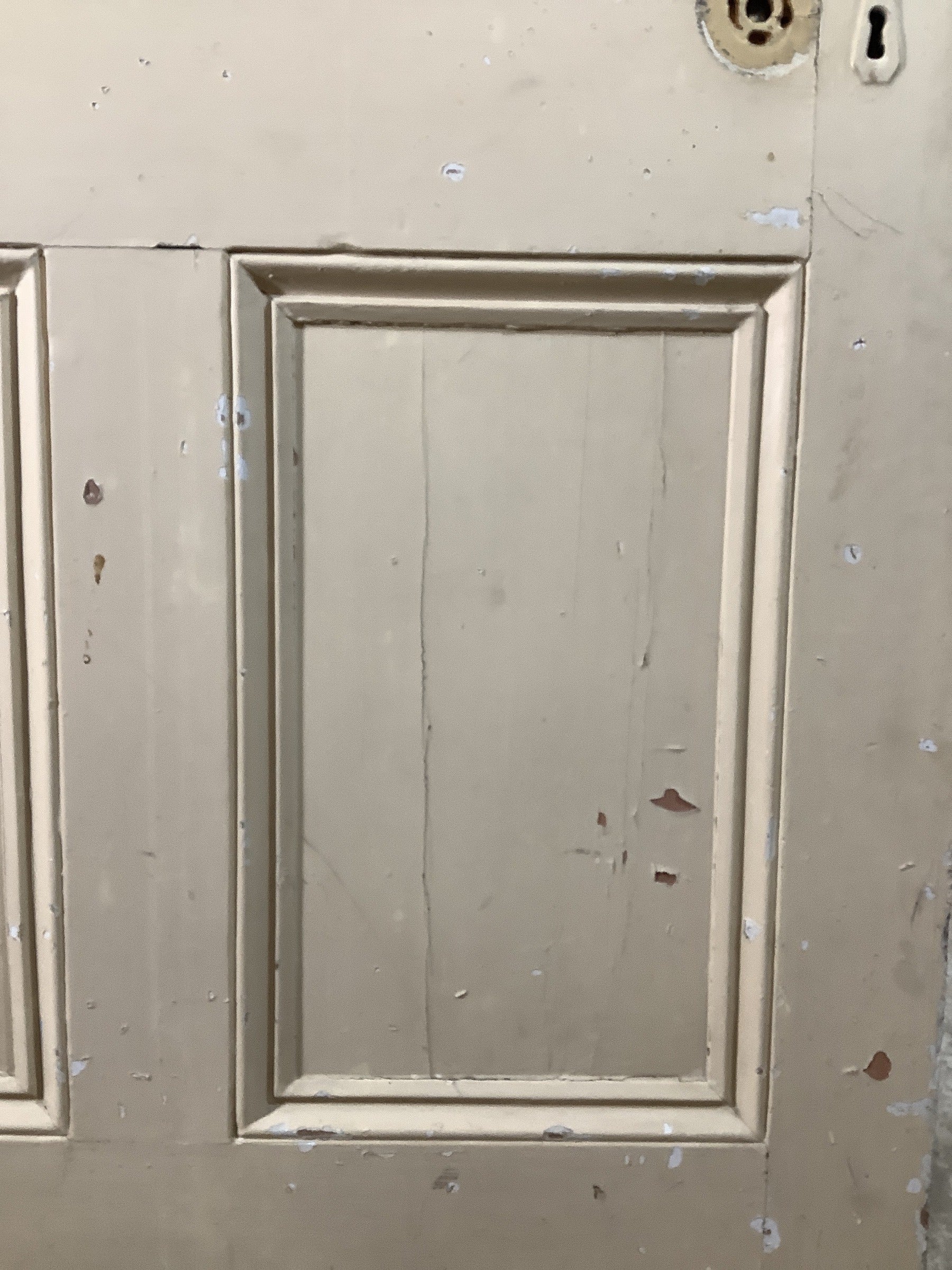 10th Pic Victorian Internal Painted  Pine Reclaimed Door