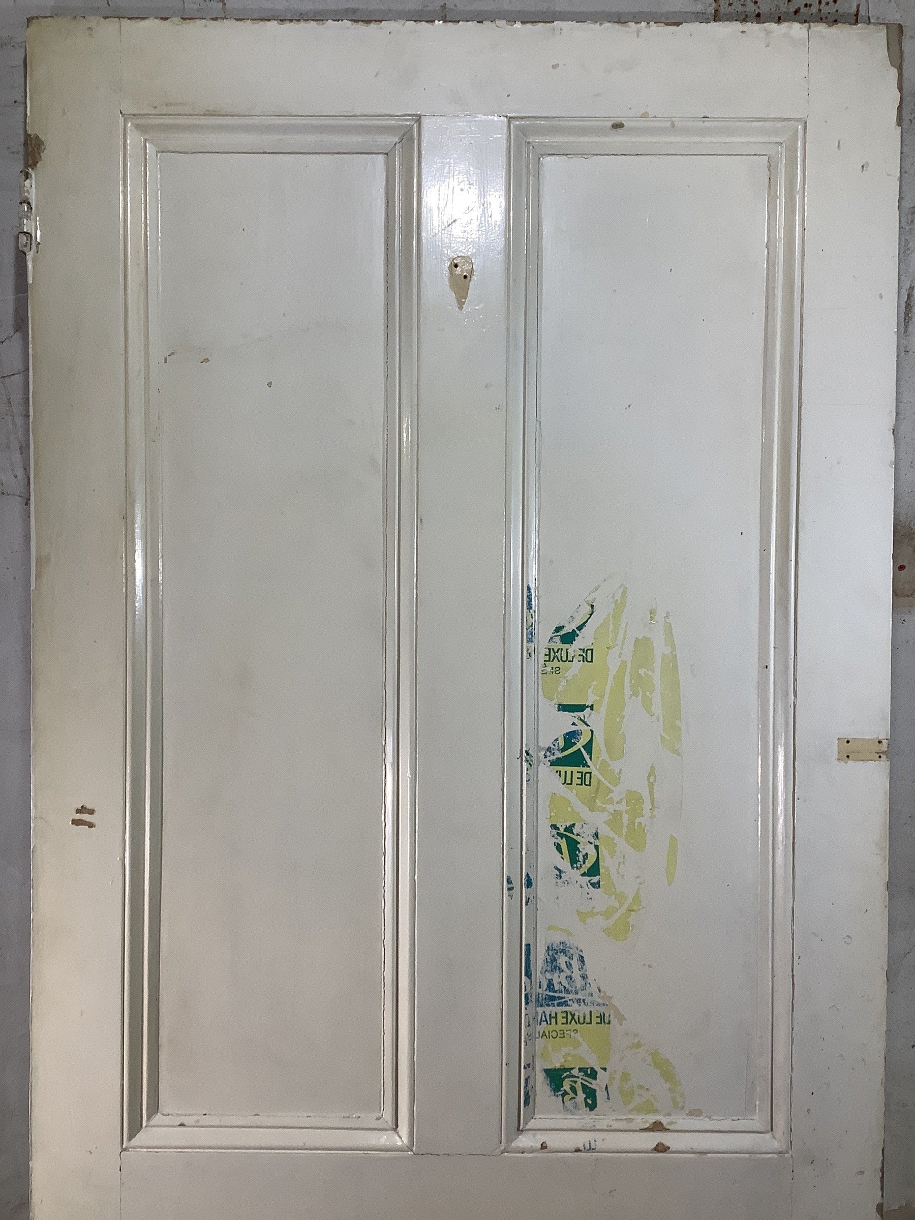 2nd Pic Victorian Internal Painted  Pine Reclaimed Door