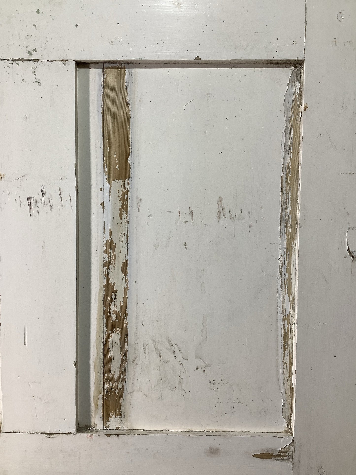 10th Pic Georgian Internal Painted  Pine Reclaimed Door