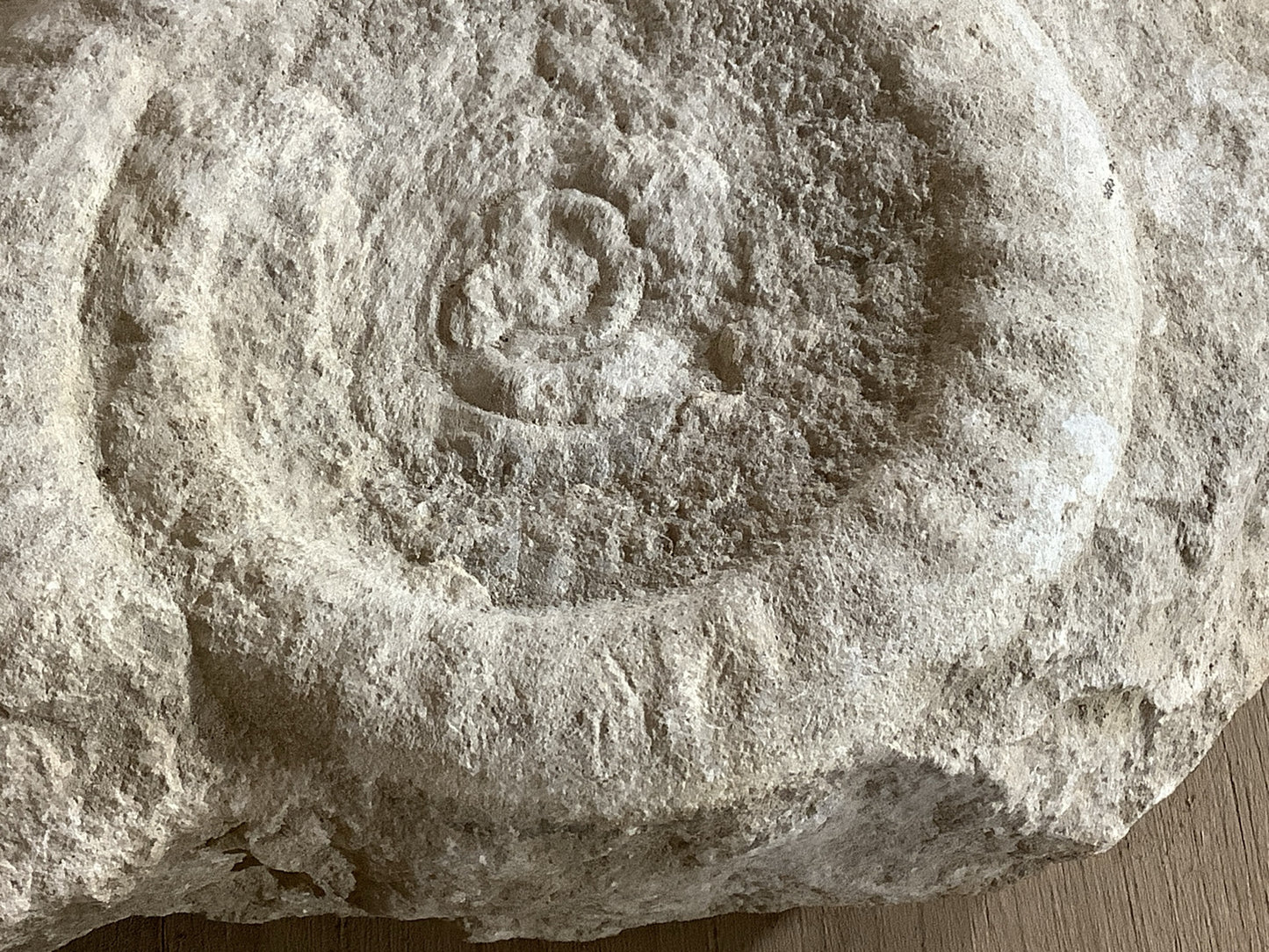 90mm Natural Lias Limestone Mendip Stone Jurassic Whole Ammonite Fossil