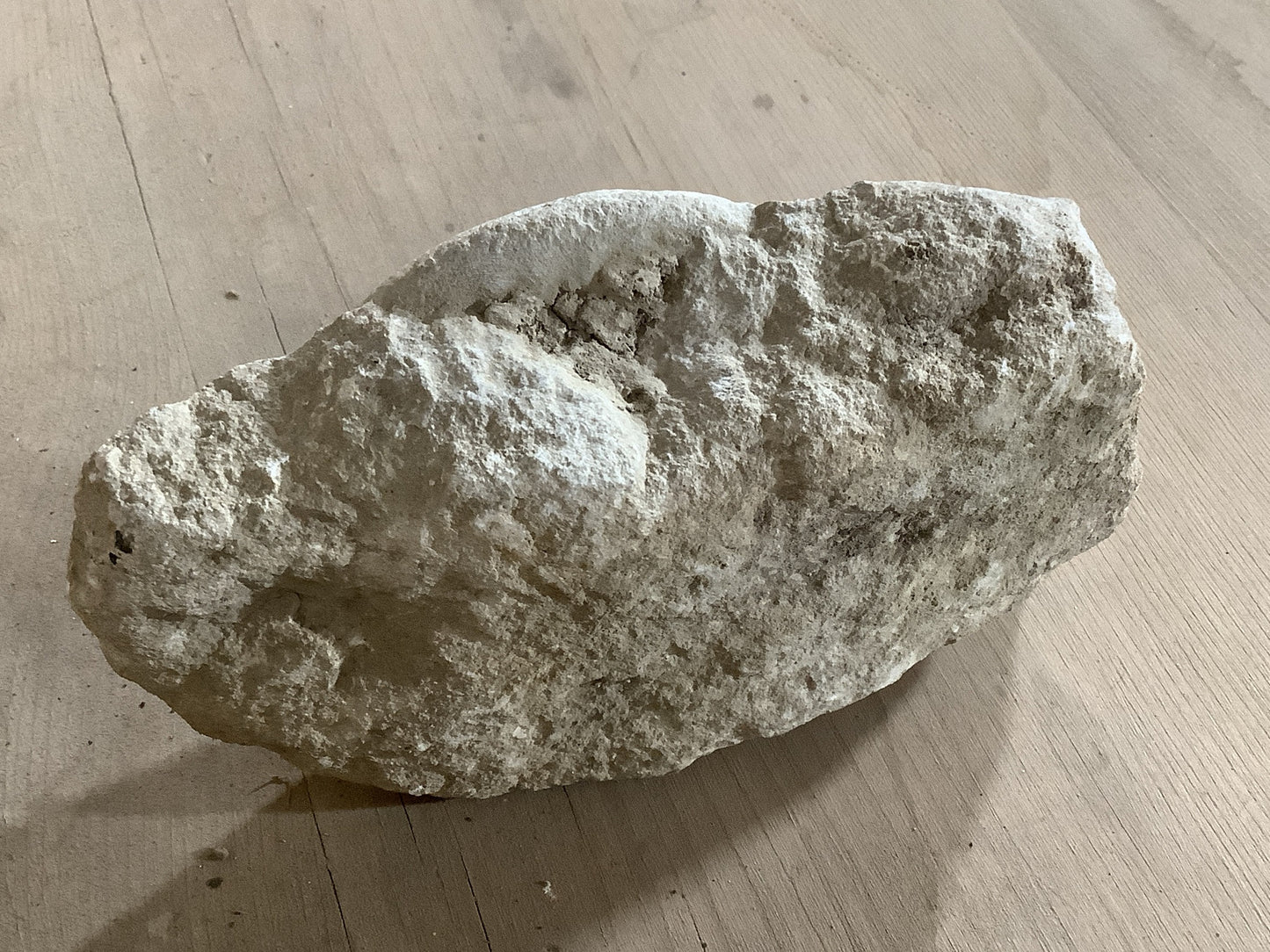 90mm Natural Lias Limestone Mendip Stone Jurassic Whole Ammonite Fossil