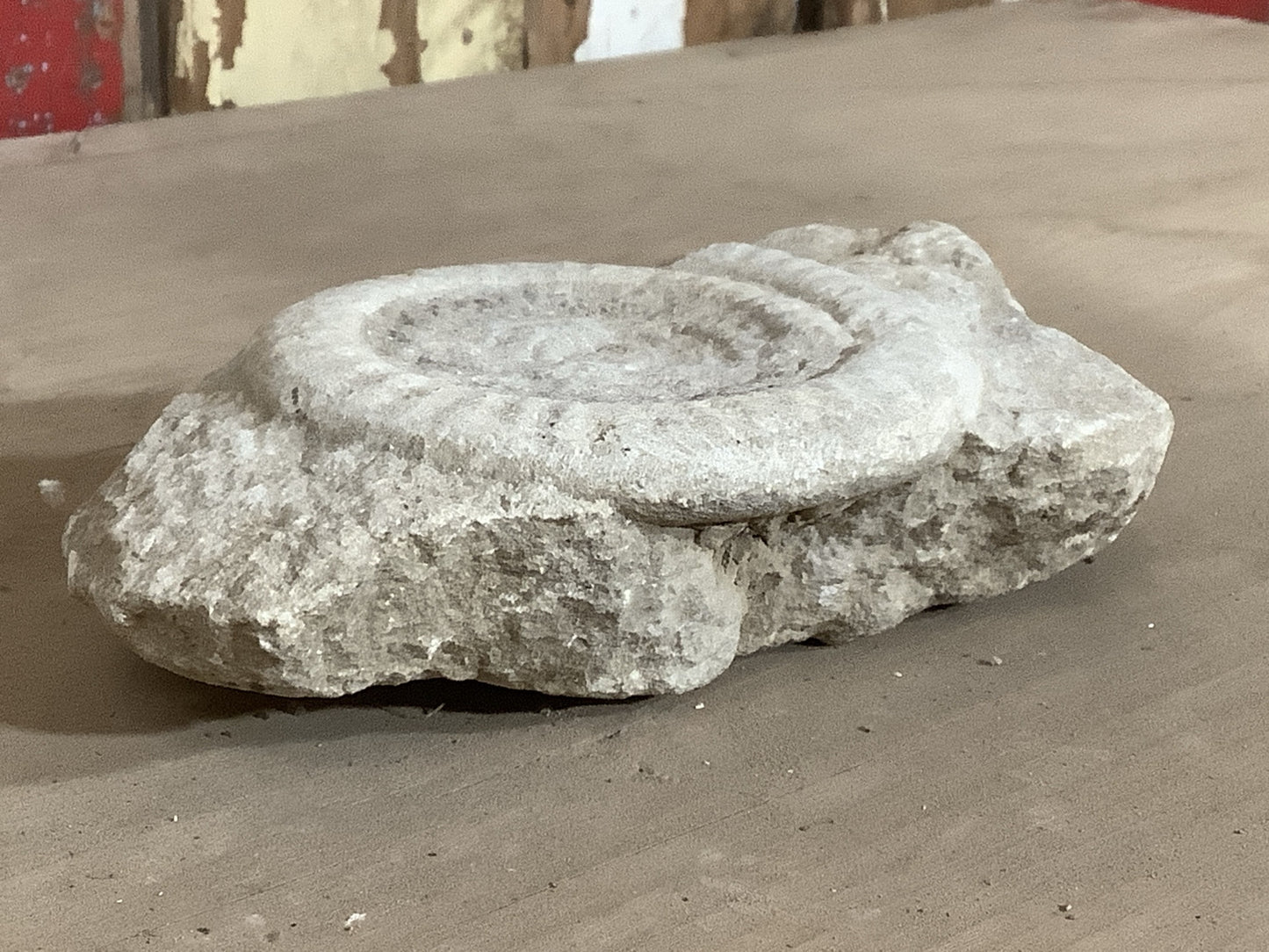 90mm Natural Lias Limestone Mendip Stone Jurassic Whole Ammonite Fossil