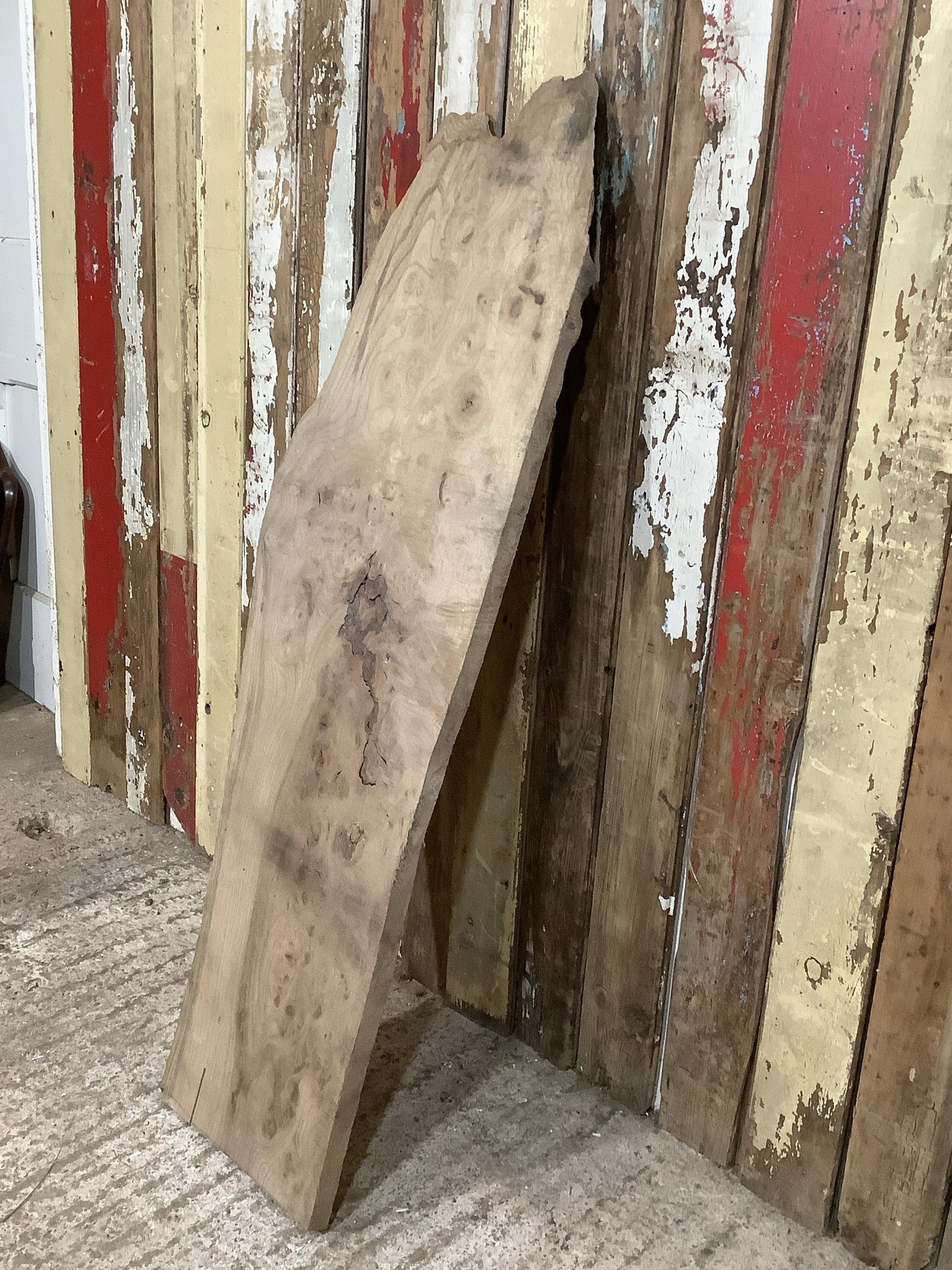 Beautiful Plank Of Old Natural Live Edge Burr Elm Wood 3'10"