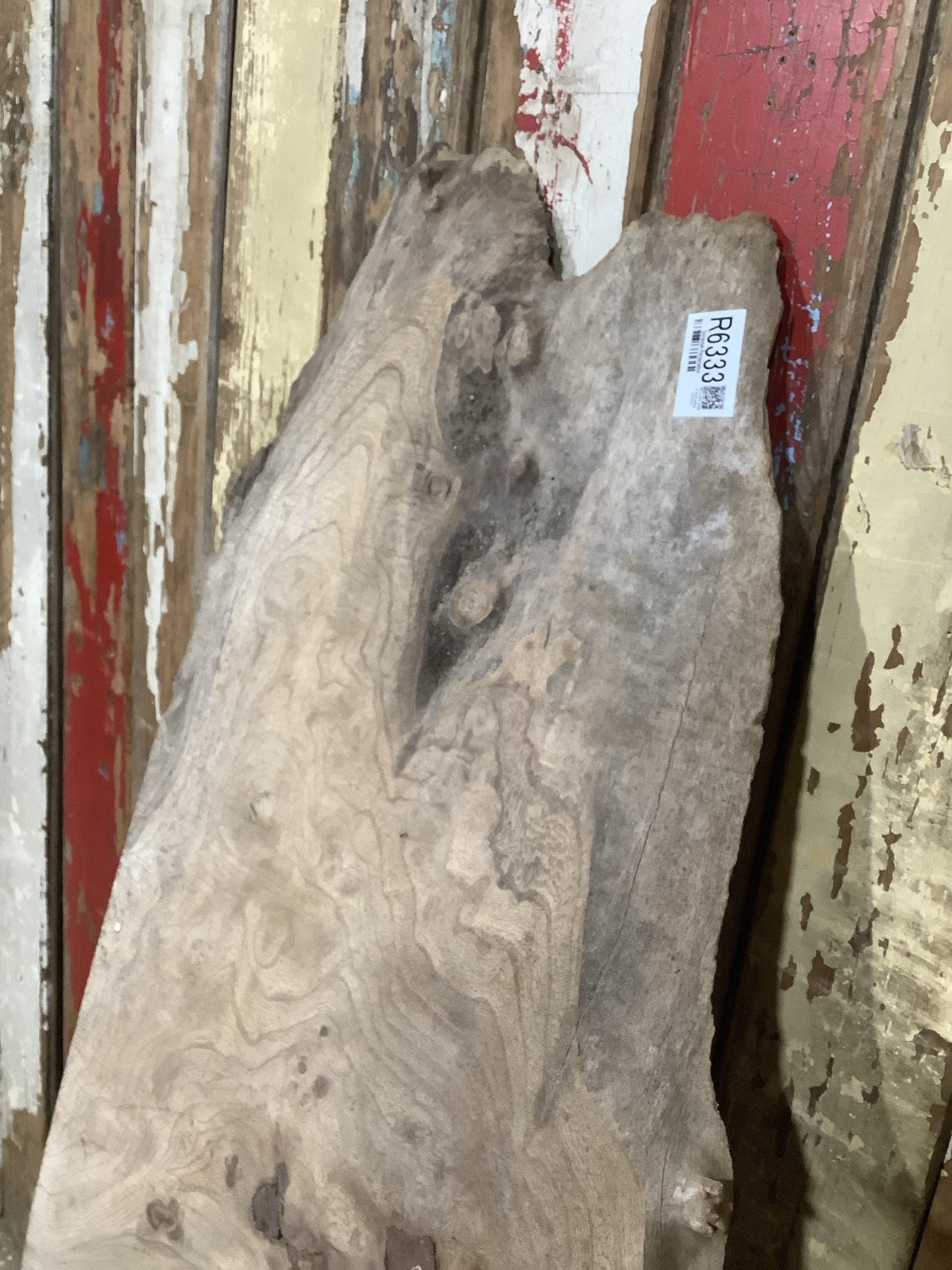 Beautiful Plank Of Old Natural Live Edge Burr Elm Wood 3'10"