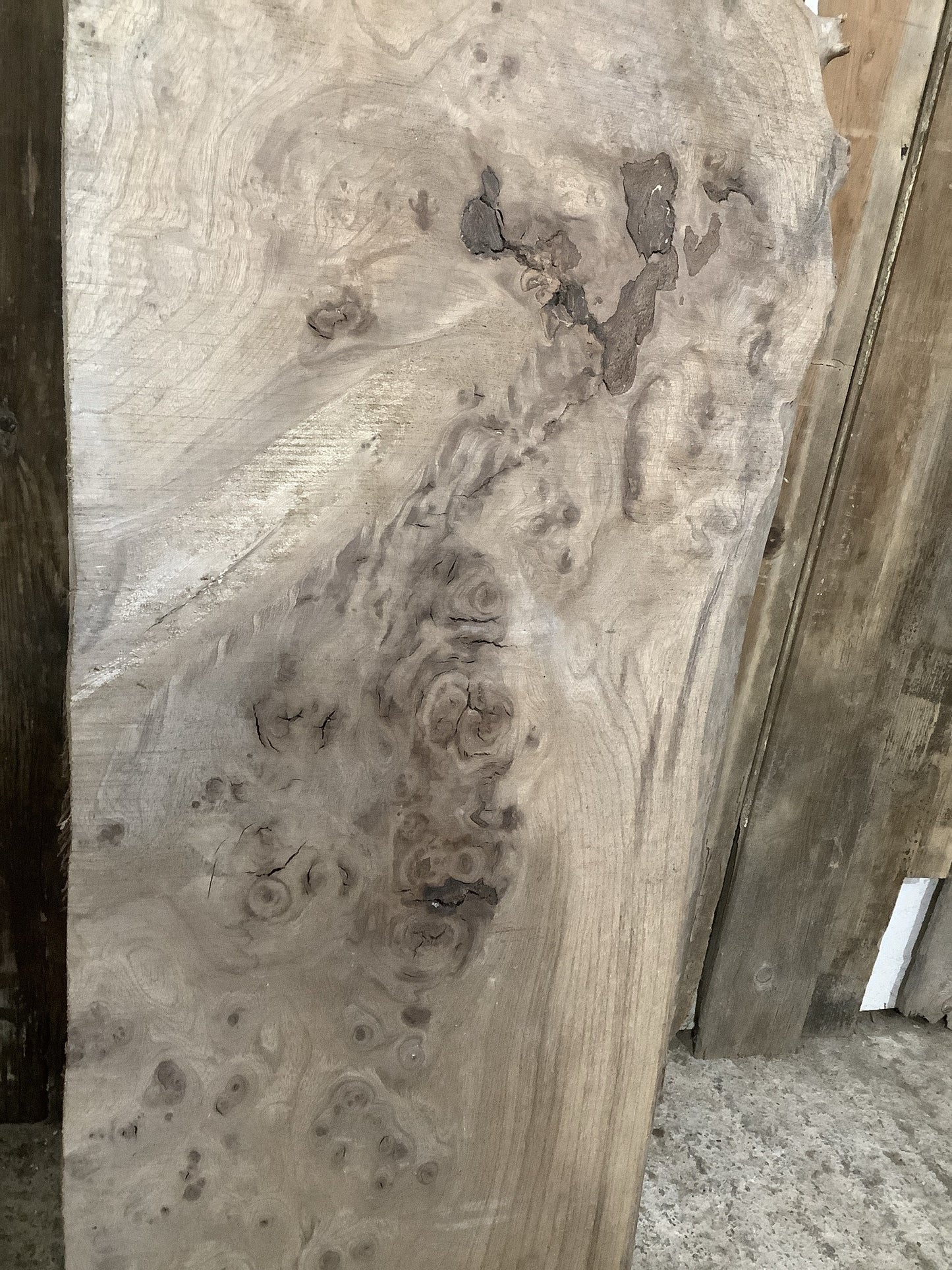 Beautiful Plank Of Old Natural Live Edge Burr Elm Wood 3'10"