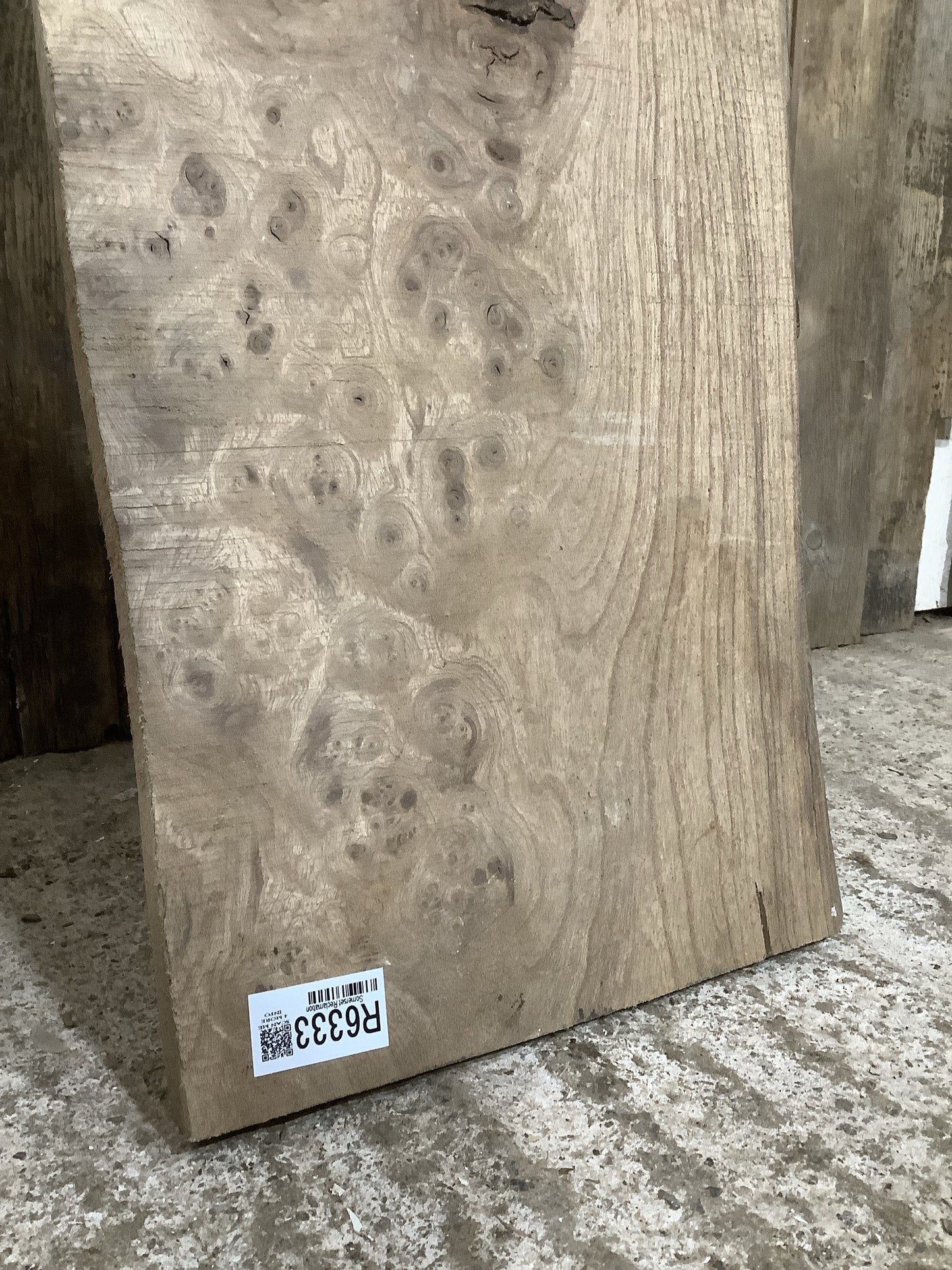 Beautiful Plank Of Old Natural Live Edge Burr Elm Wood 3'10"