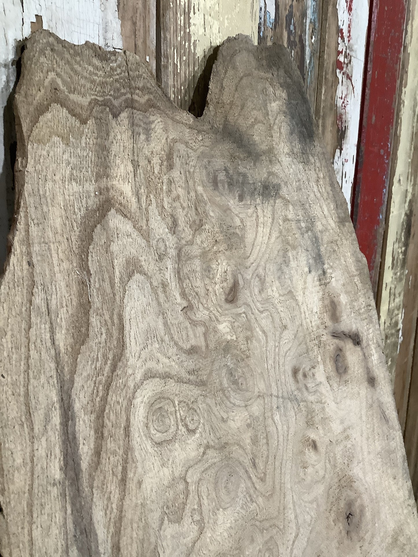 Beautiful Plank Of Old Natural Live Edge Burr Elm Wood 3'10"