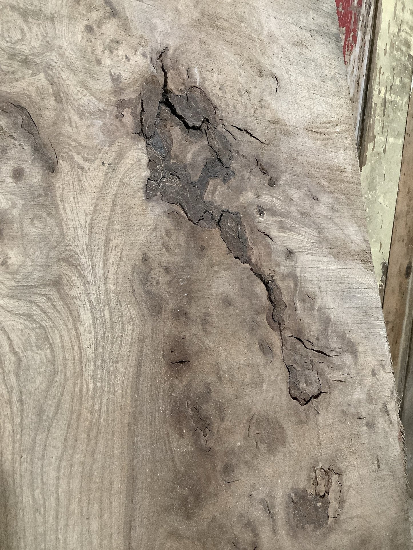 Beautiful Plank Of Old Natural Live Edge Burr Elm Wood 3'10"