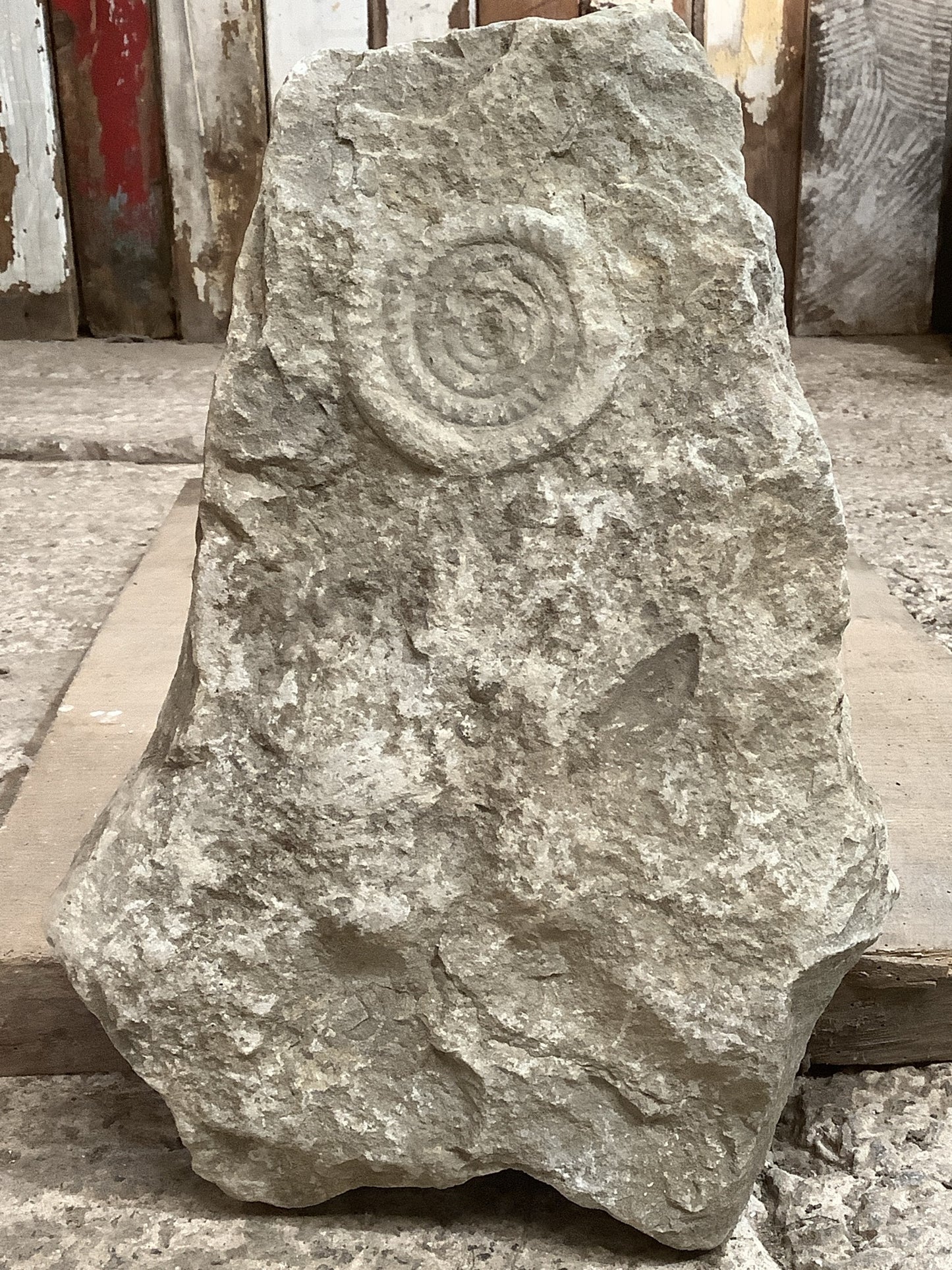 80mm Large Natural Somerset Limestone Stone Jurassic Ammonite Fossil