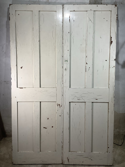 Main Picture Victorian Internal Painted  Pine Reclaimed Door