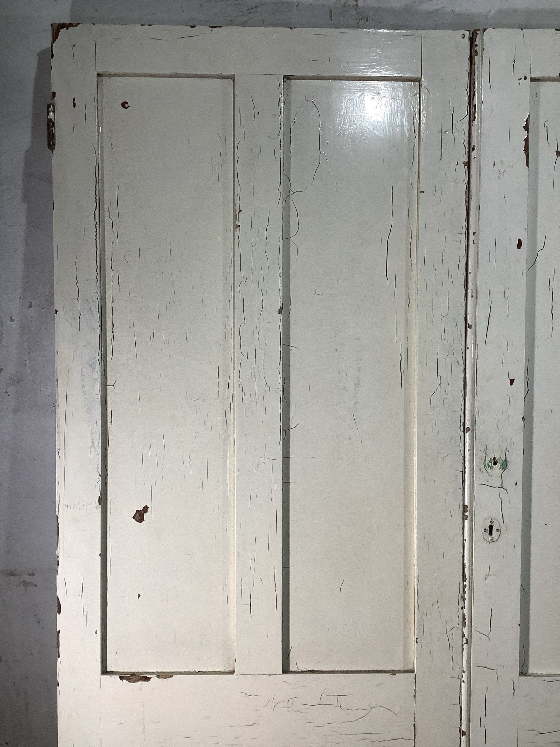 2nd Pic Victorian Internal Painted  Pine Reclaimed Door