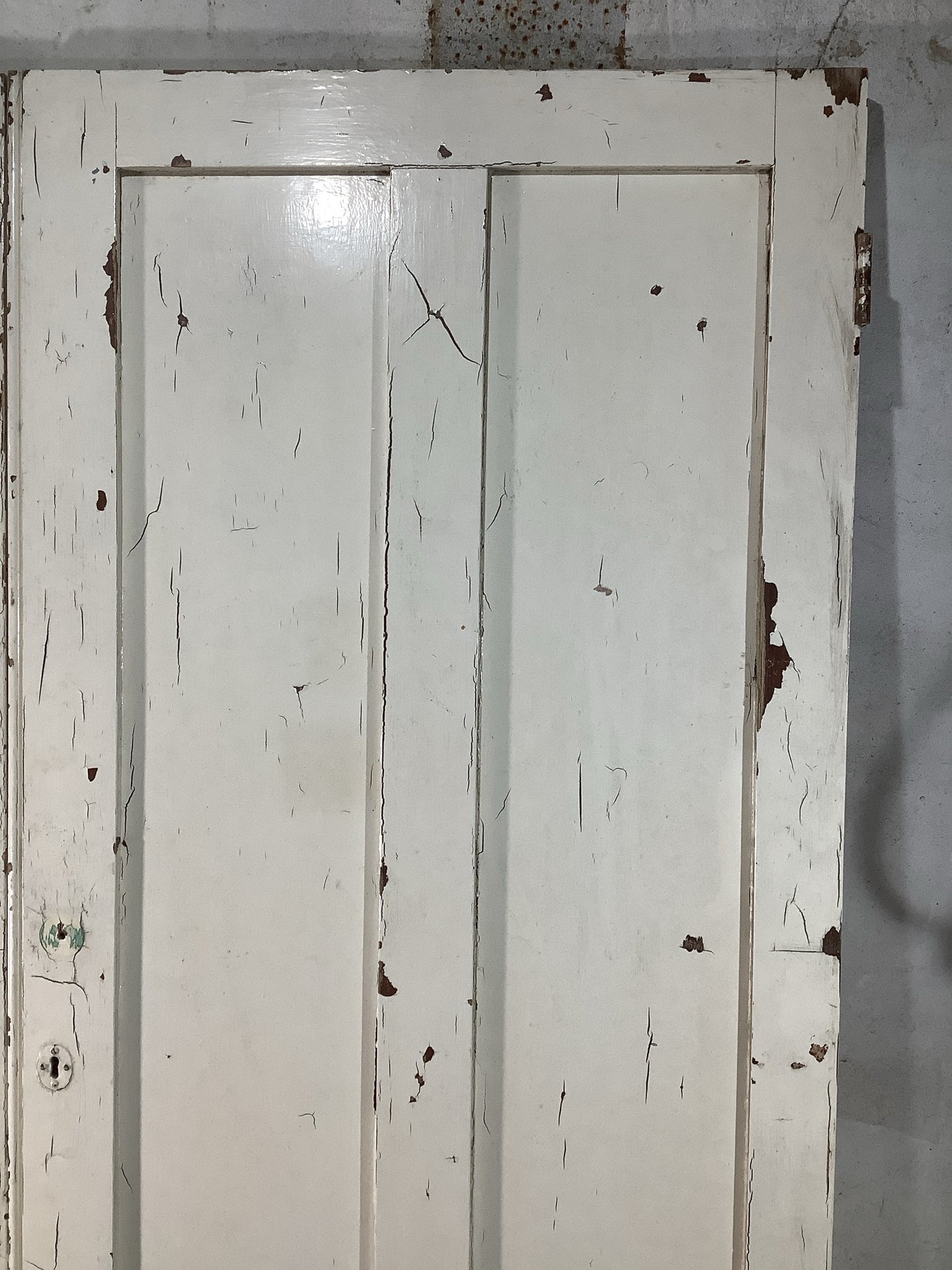 4th Pic Victorian Internal Painted  Pine Reclaimed Door