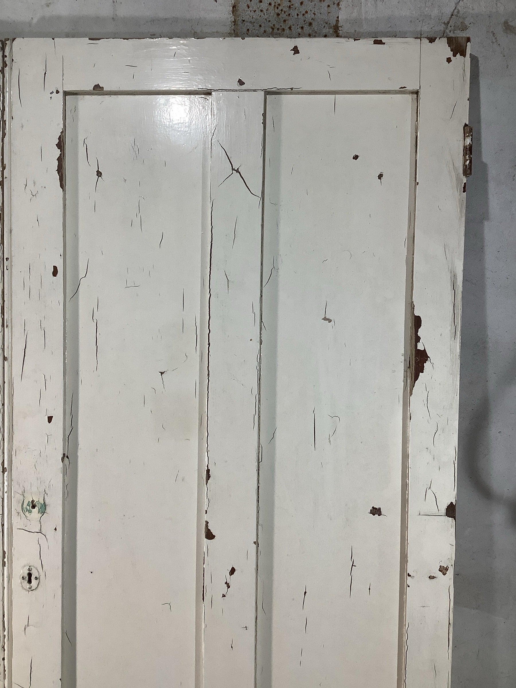 4th Pic Victorian Internal Painted  Pine Reclaimed Door