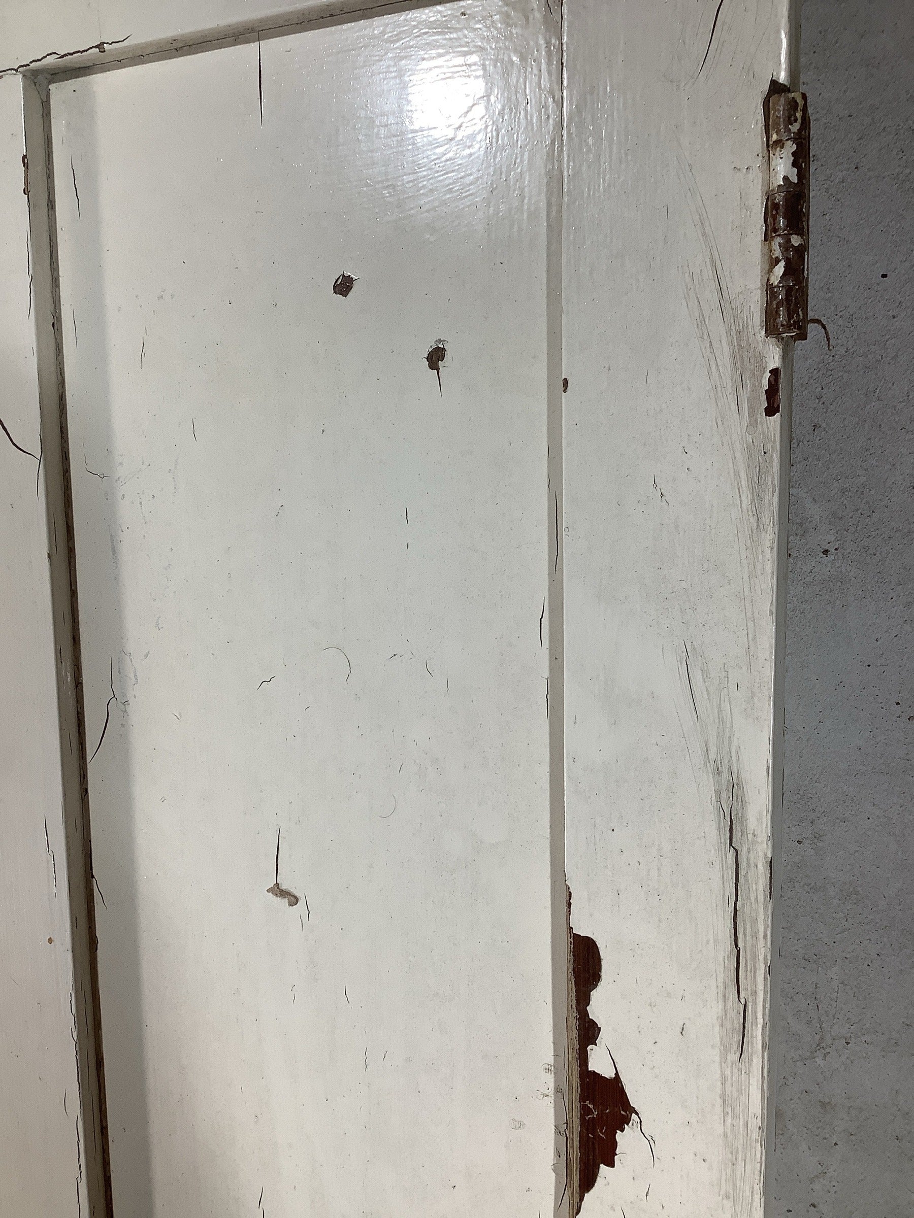 6th Pic Victorian Internal Painted  Pine Reclaimed Door