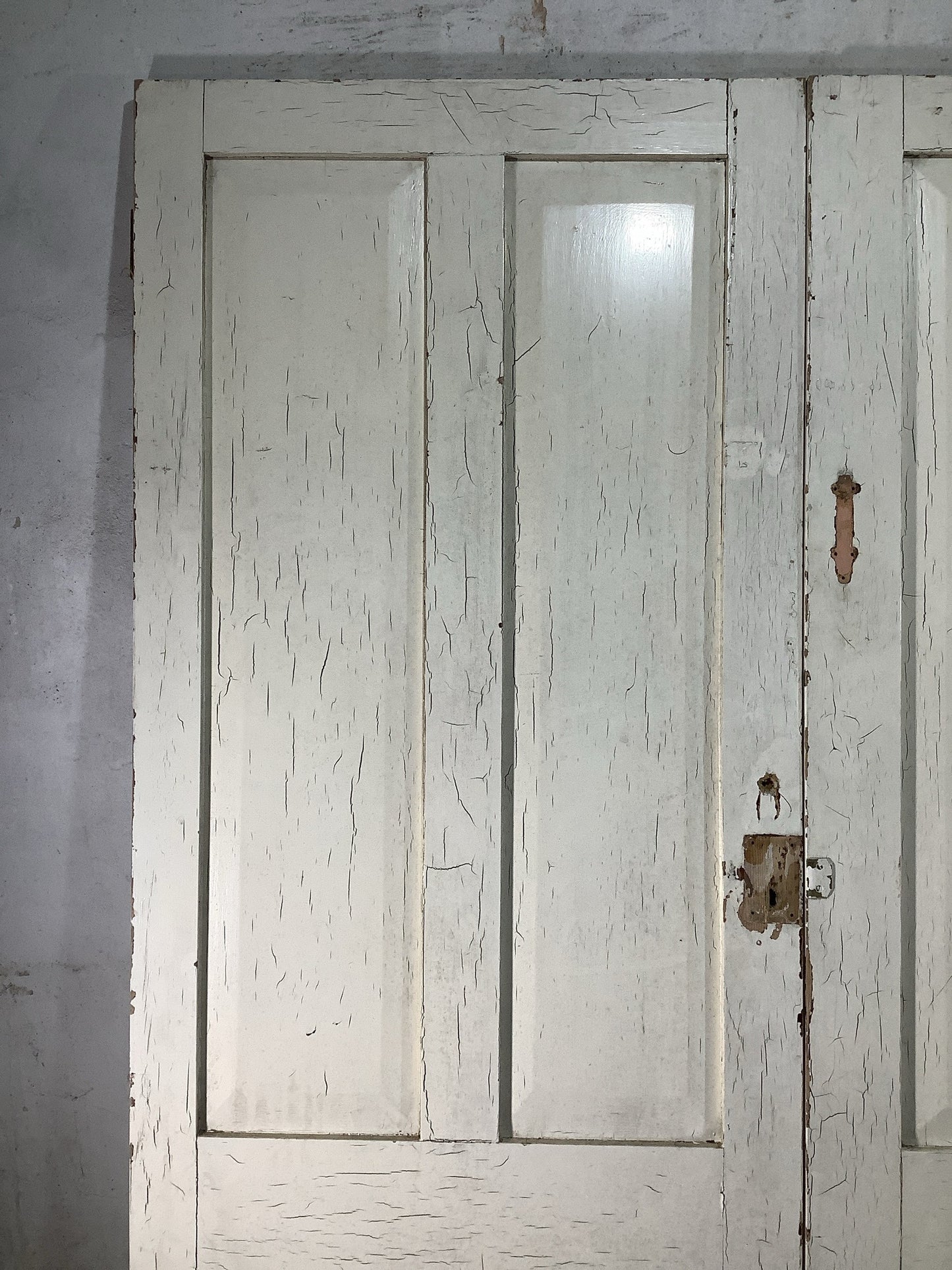 8th Pic Victorian Internal Painted  Pine Reclaimed Door