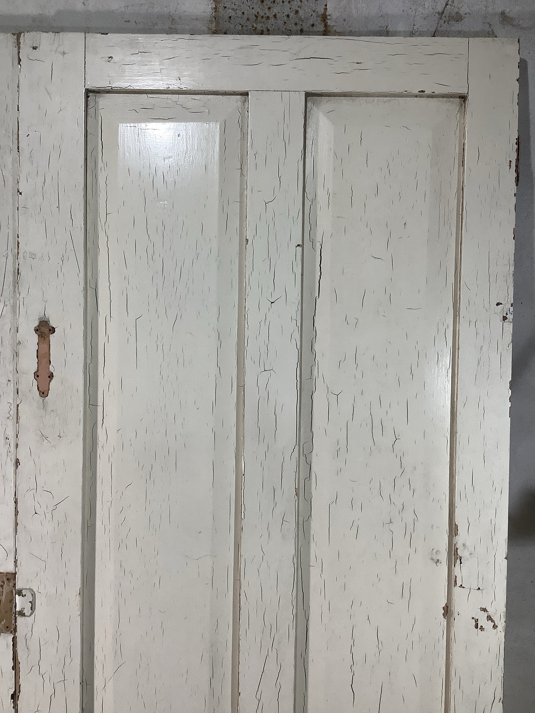 10th Pic Victorian Internal Painted  Pine Reclaimed Door