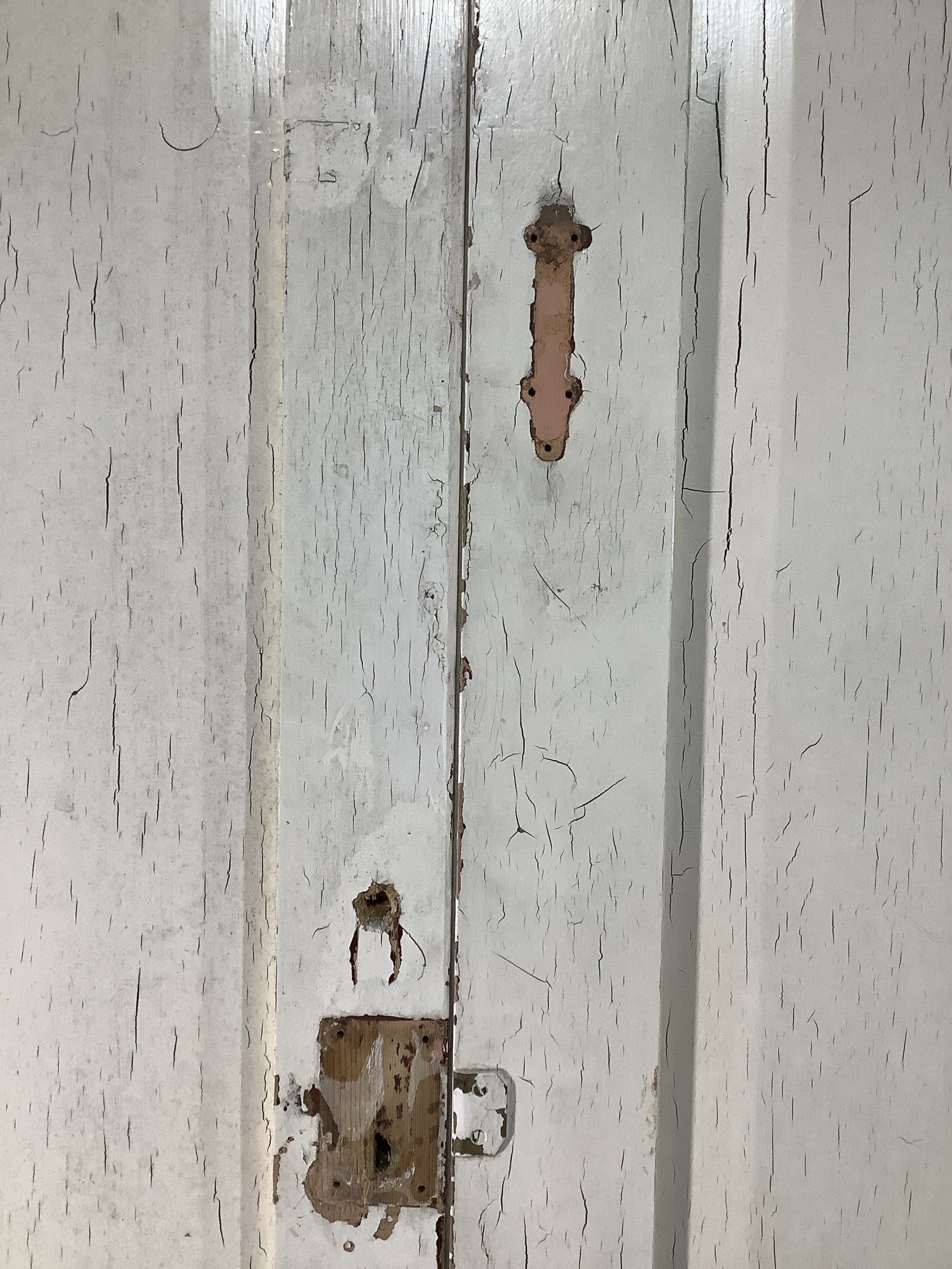 12th Pic Victorian Internal Painted  Pine Reclaimed Door