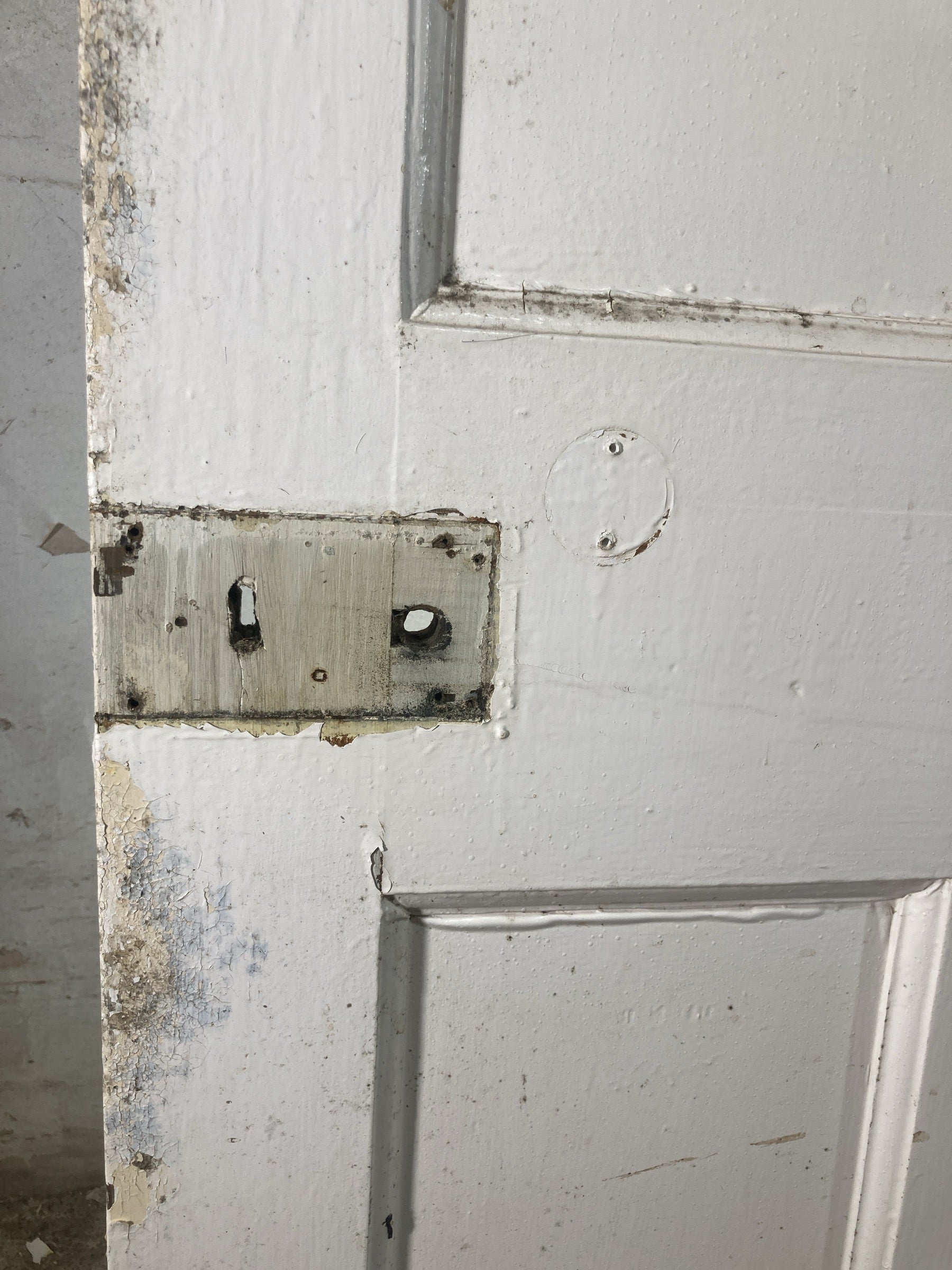 10th Pic 1930s Internal Painted  Pine Reclaimed Door