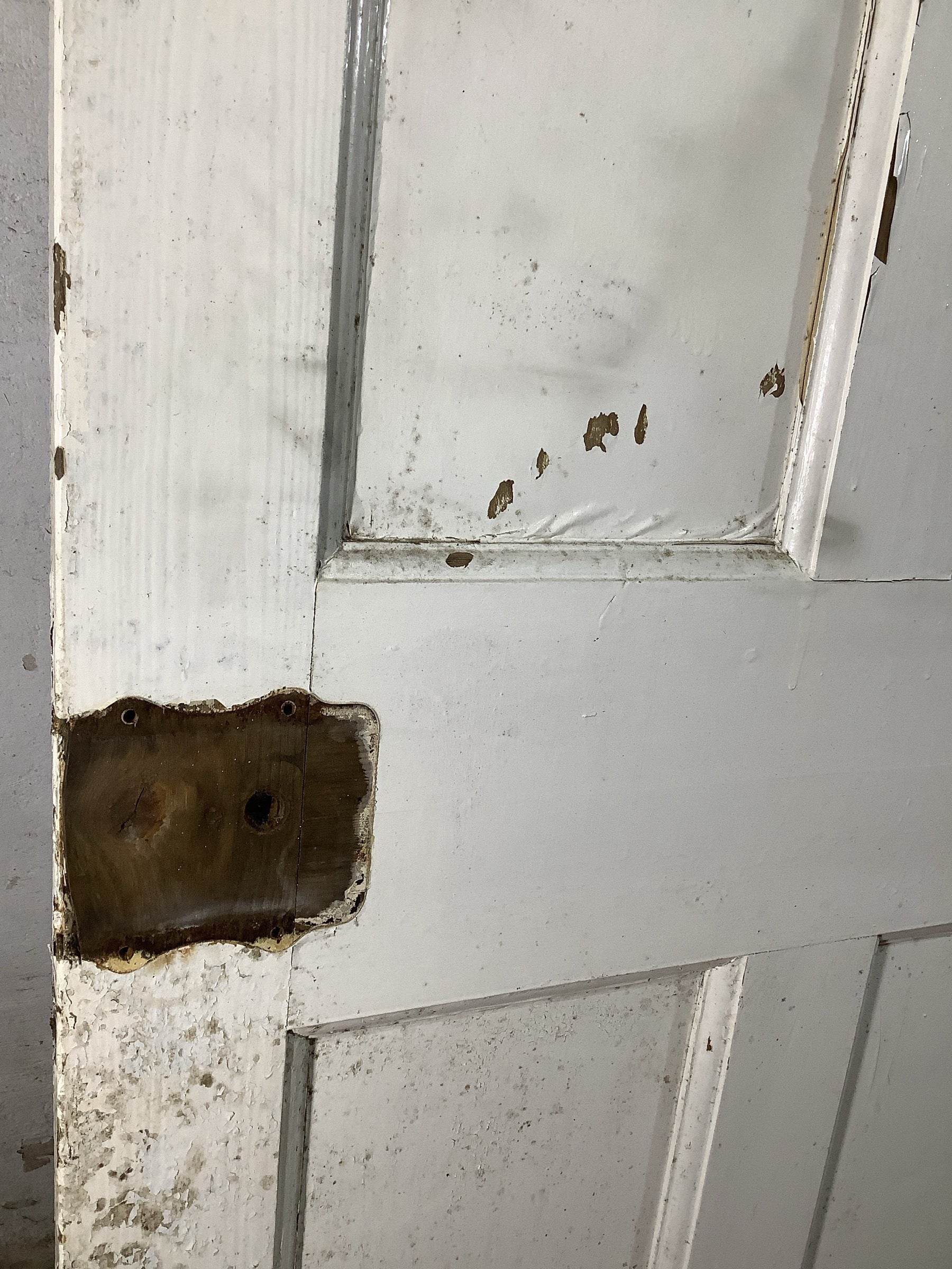 10th Pic 1930s Internal Painted  Pine Reclaimed Door