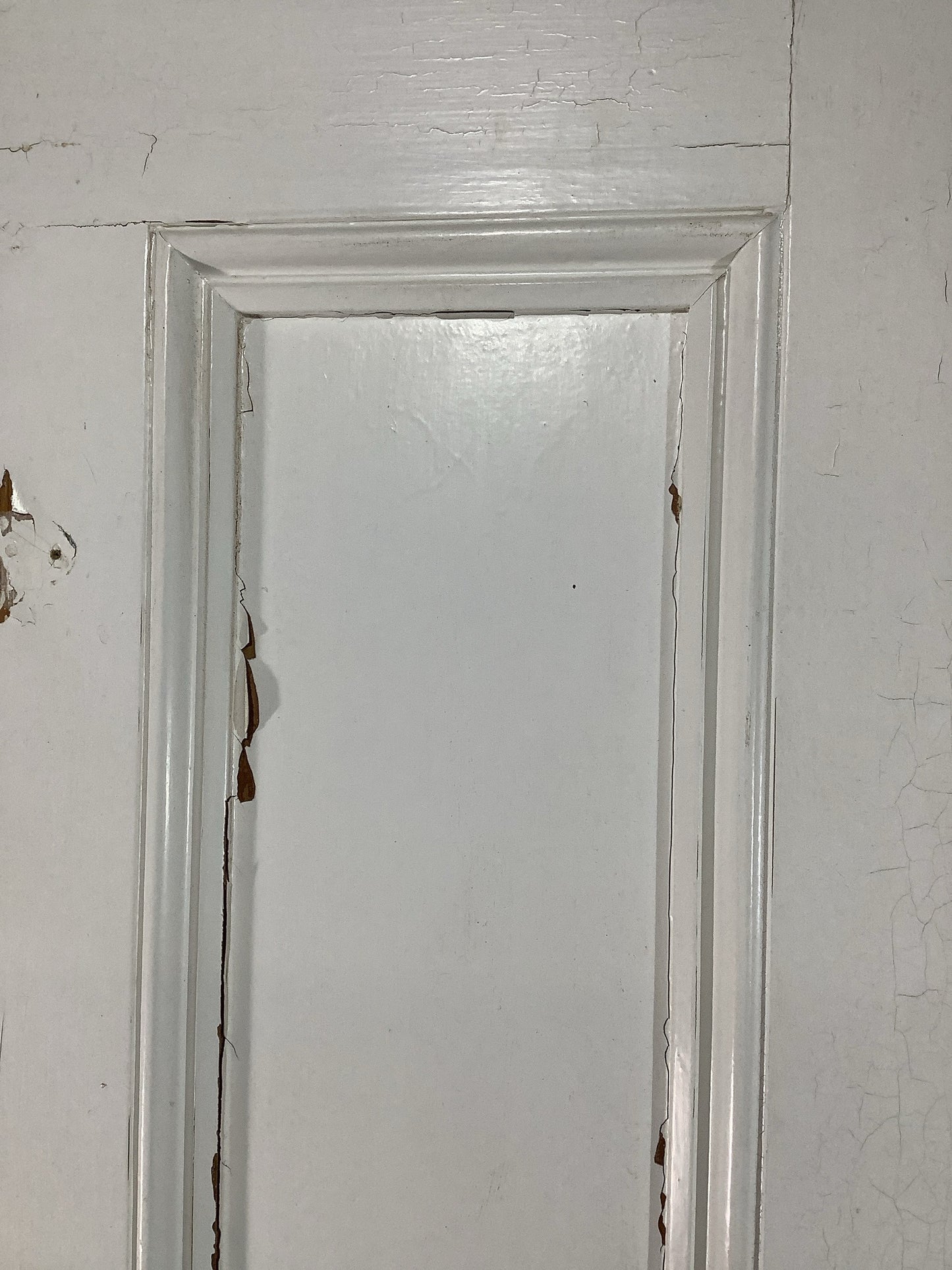 11th Pic Victorian Internal Painted  Pine Reclaimed Door