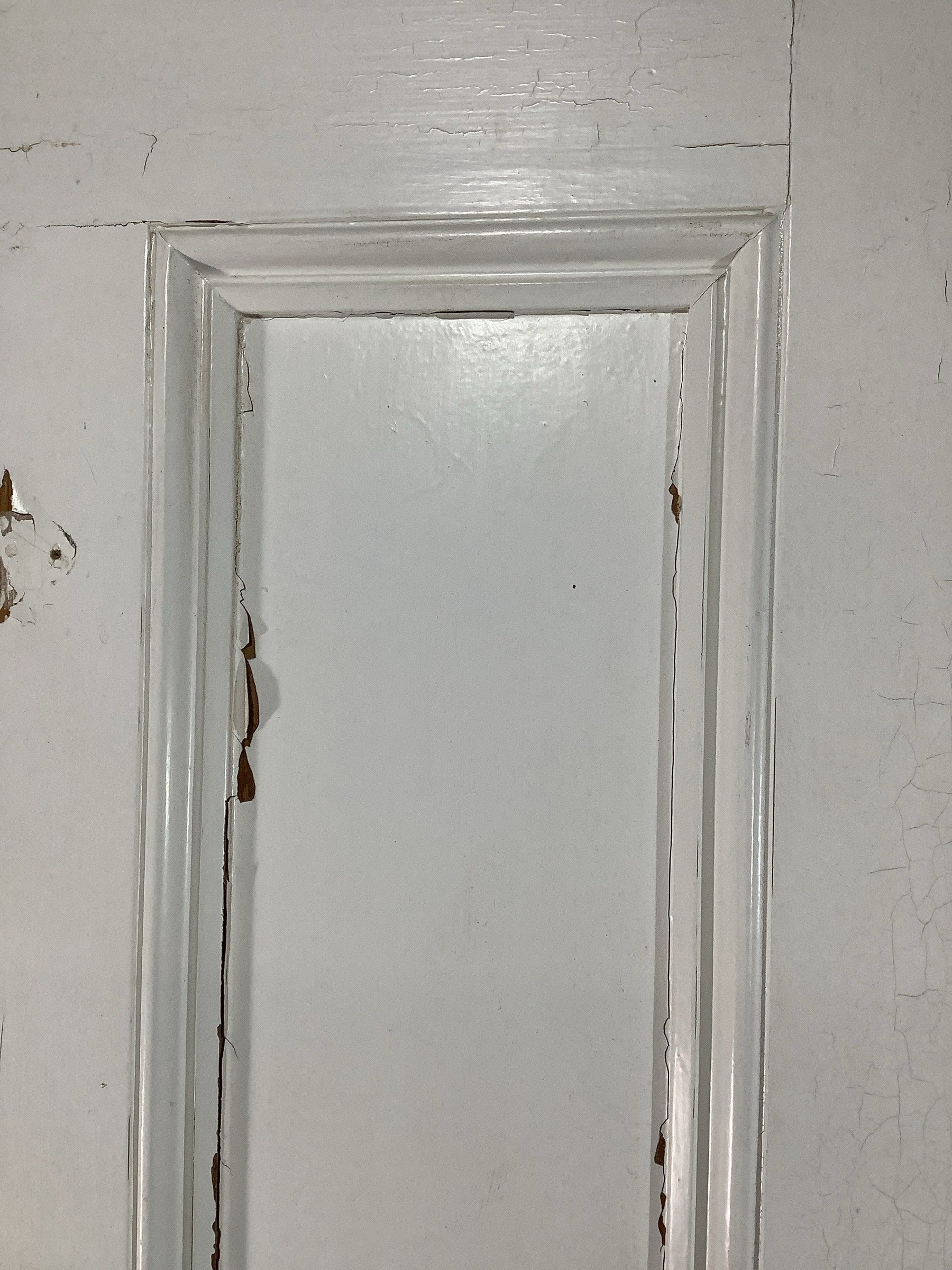 11th Pic Victorian Internal Painted  Pine Reclaimed Door