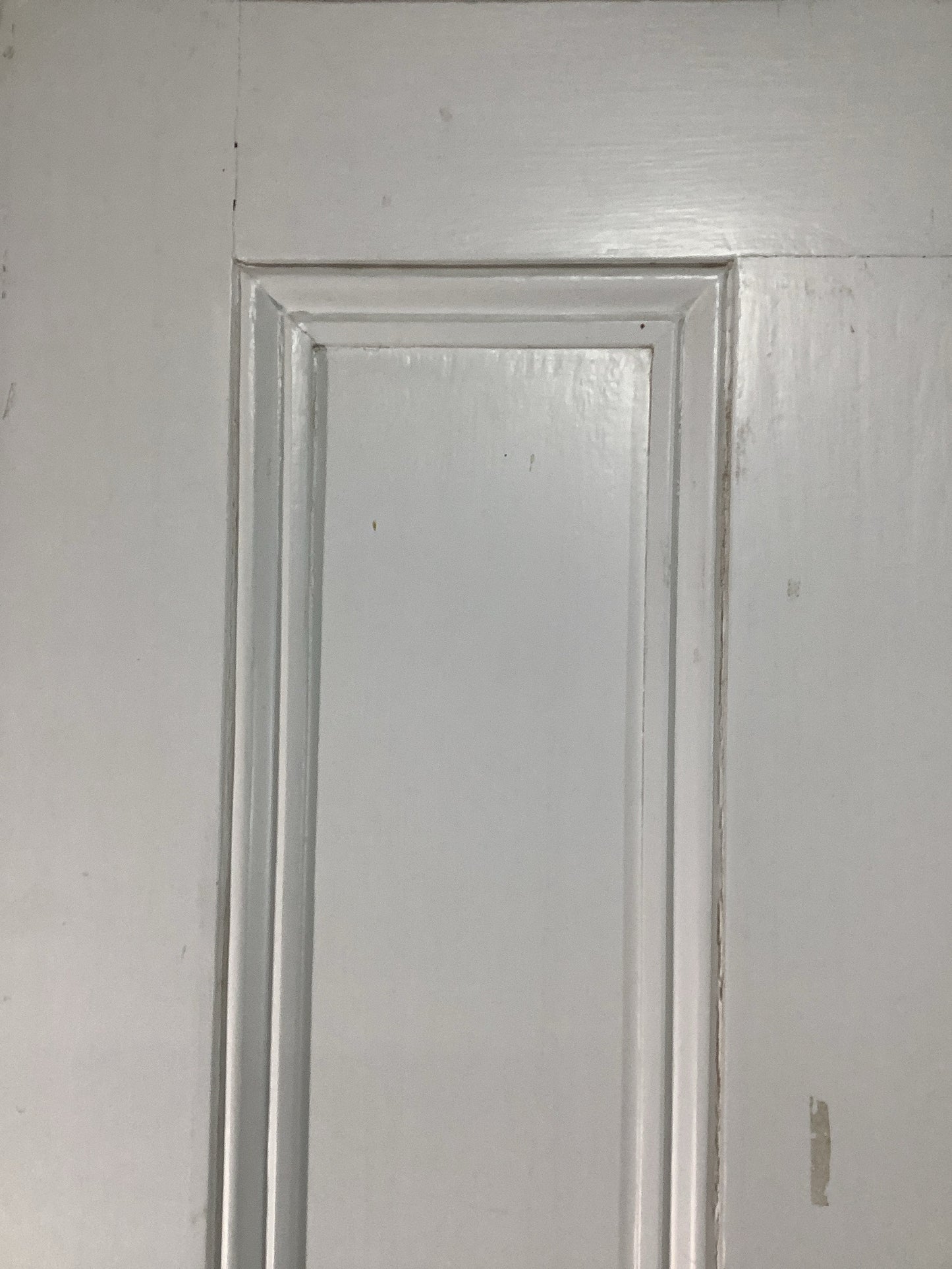 4th Pic Victorian Internal Painted  Pine Reclaimed Door