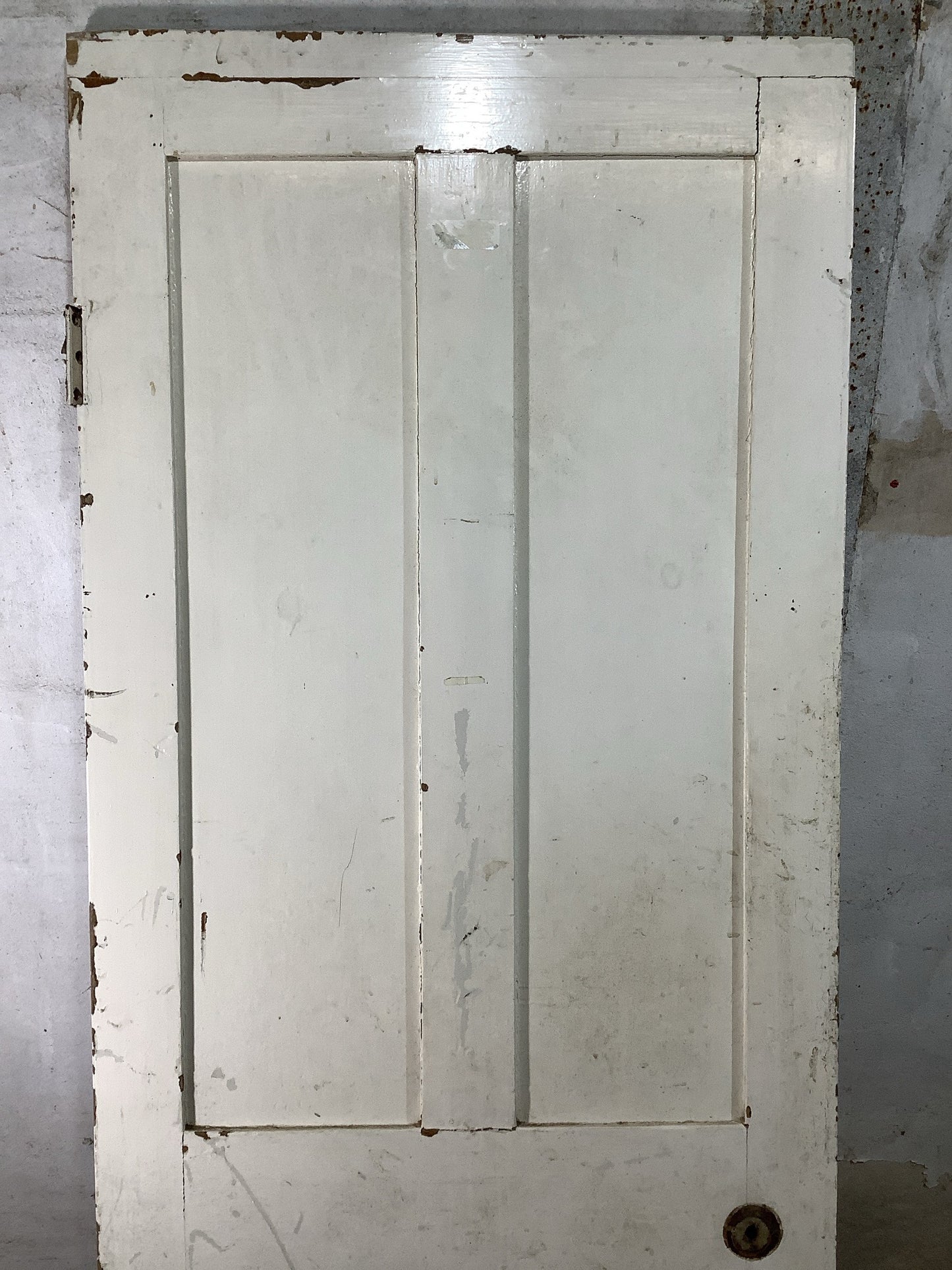 8th Pic Victorian Internal Painted  Pine Reclaimed Door